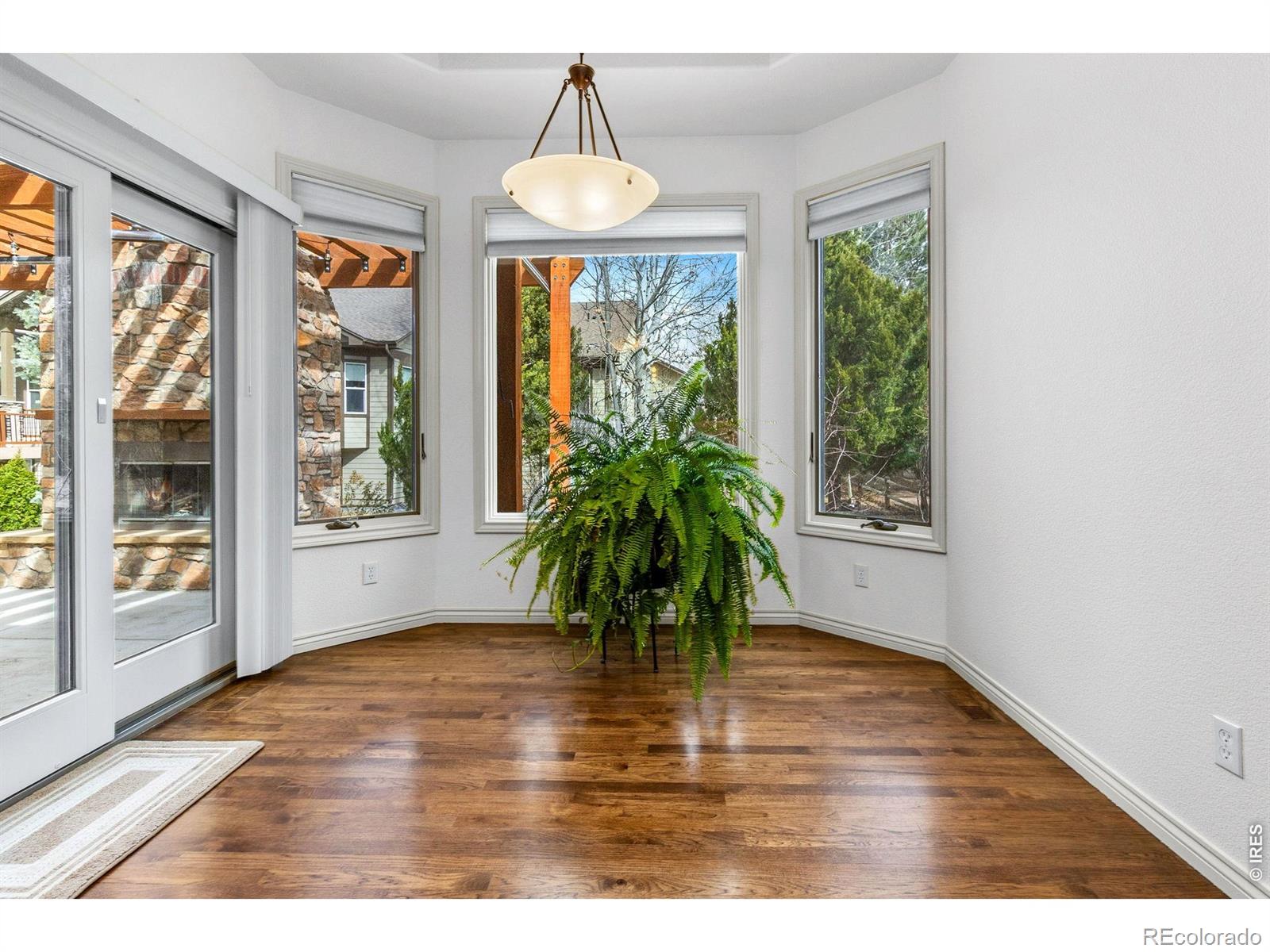 MLS Image #16 for 1443  folsum drive,windsor, Colorado