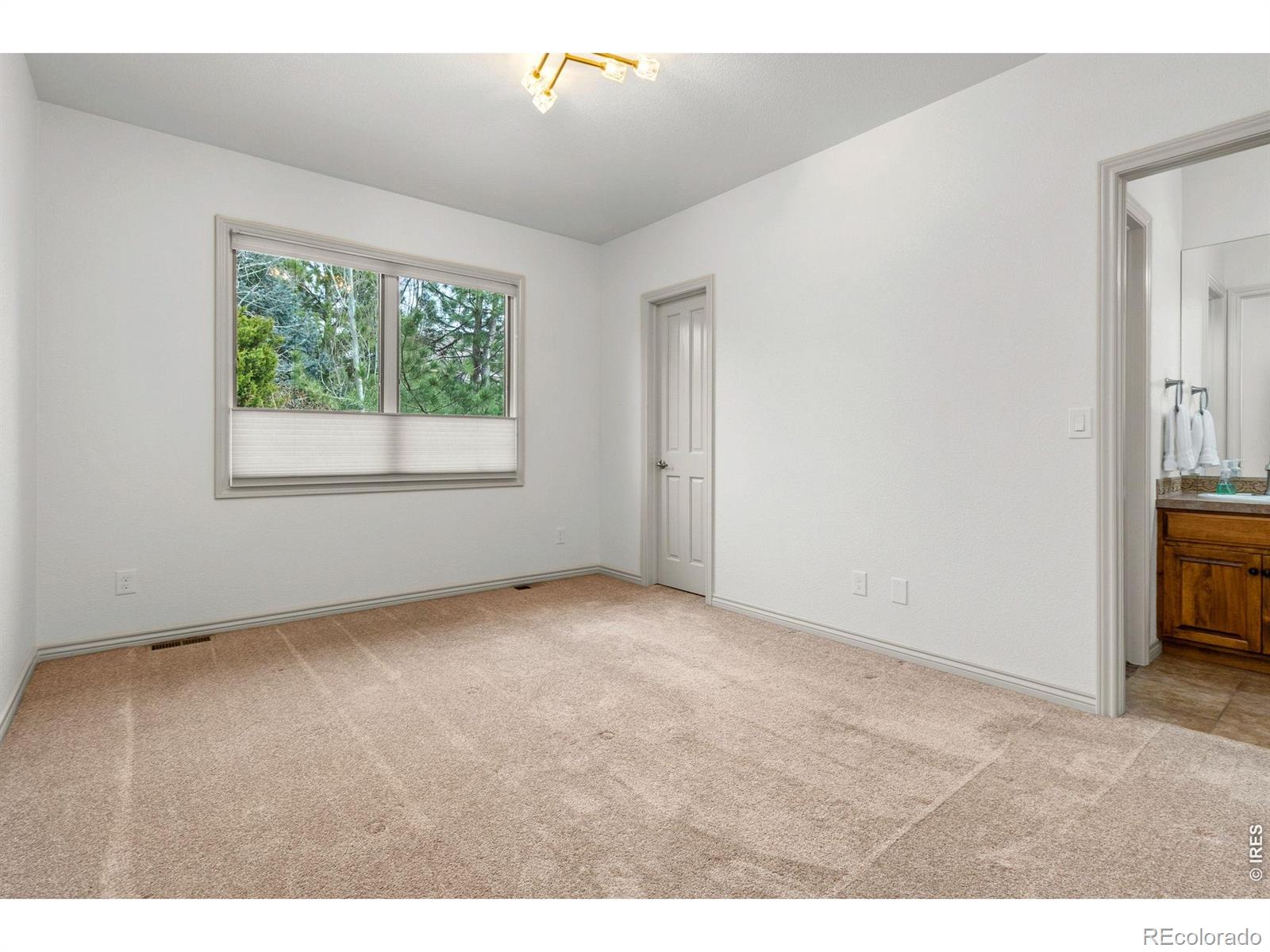 MLS Image #21 for 1443  folsum drive,windsor, Colorado