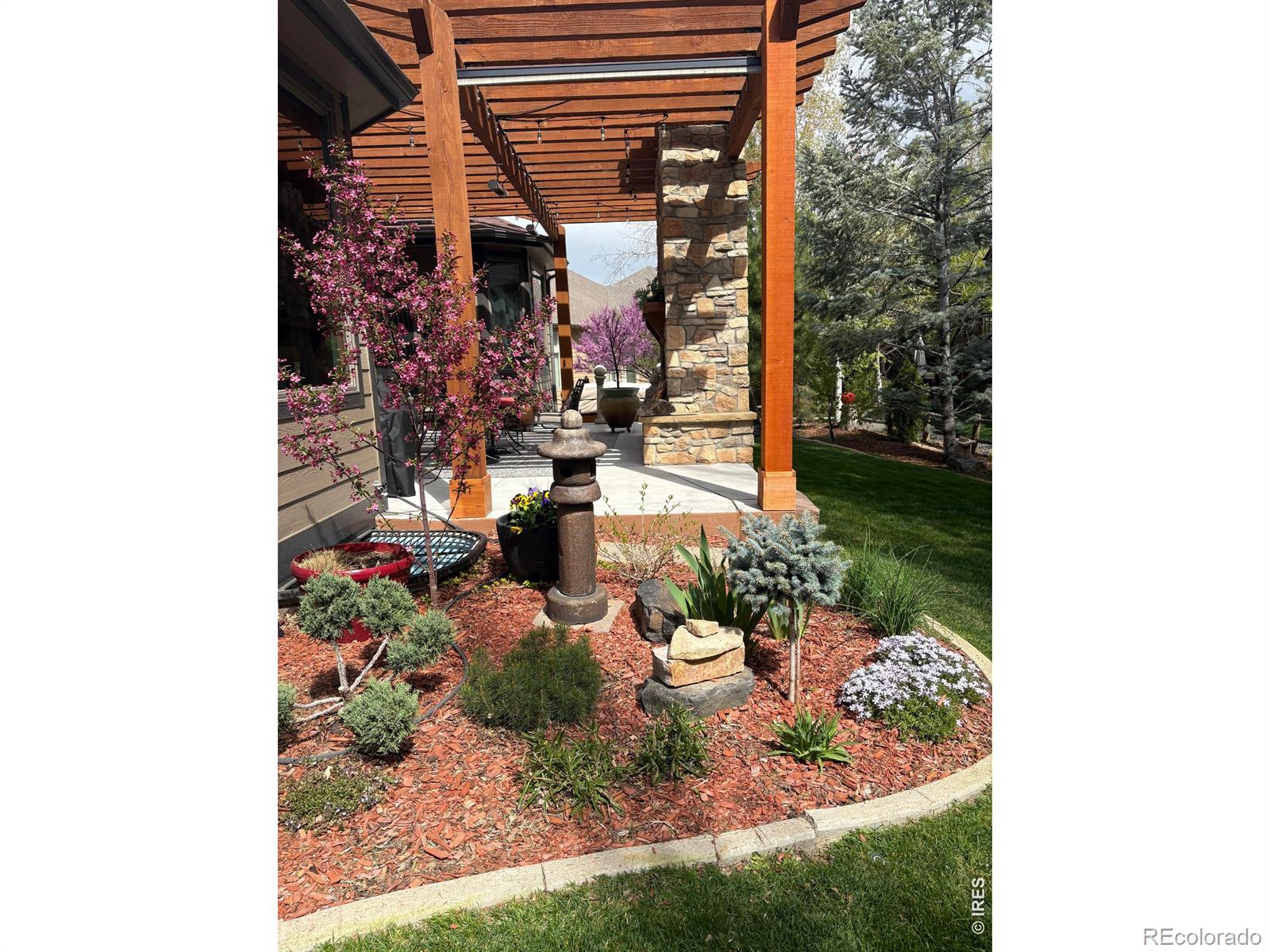 MLS Image #29 for 1443  folsum drive,windsor, Colorado