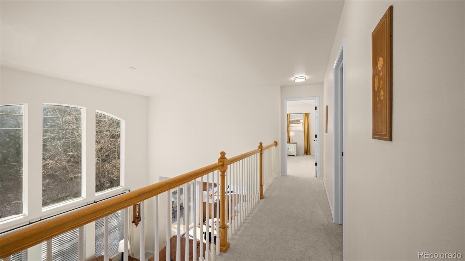 MLS Image #23 for 10259  peach blossom trail,colorado springs, Colorado