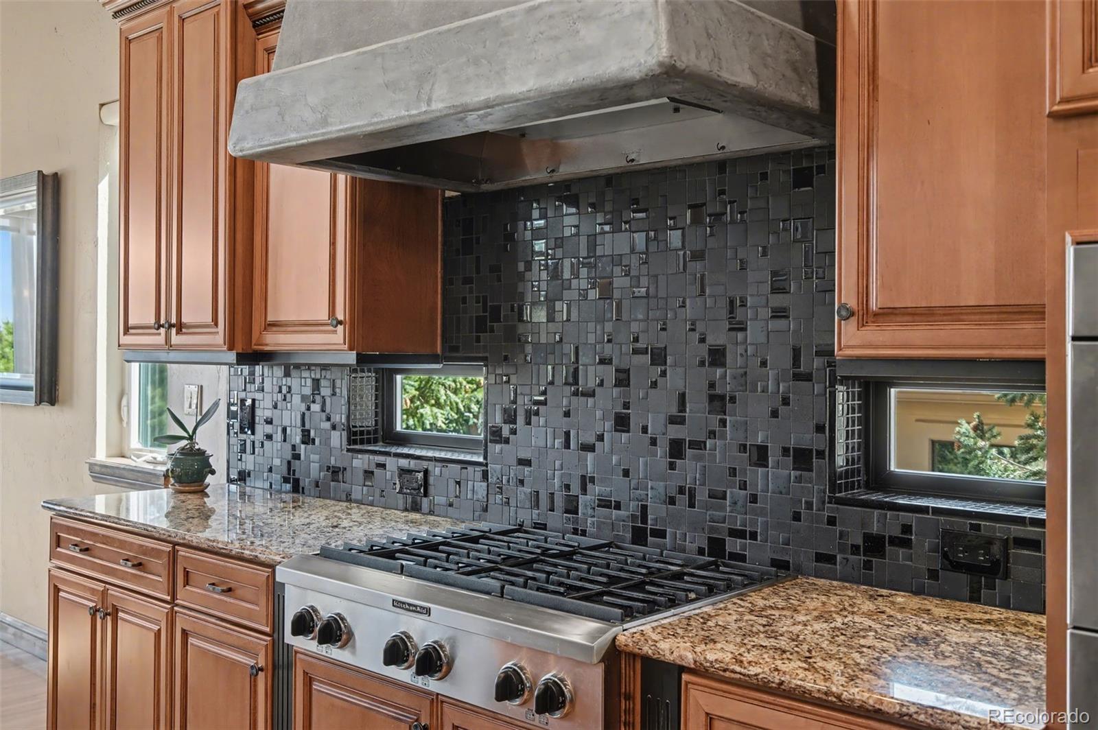 MLS Image #11 for 870  mont blanc view,colorado springs, Colorado