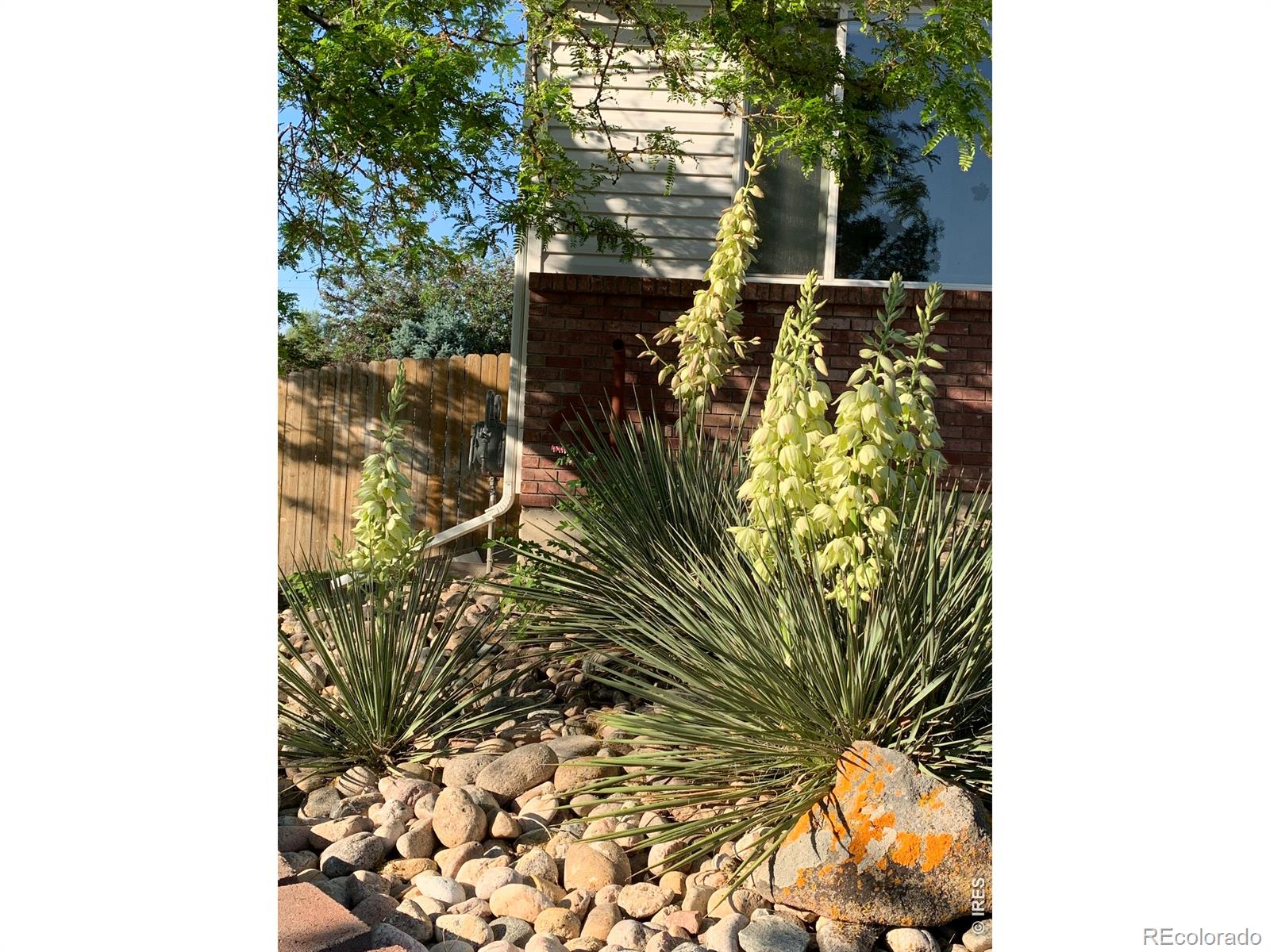 MLS Image #2 for 661  brewer drive,fort collins, Colorado