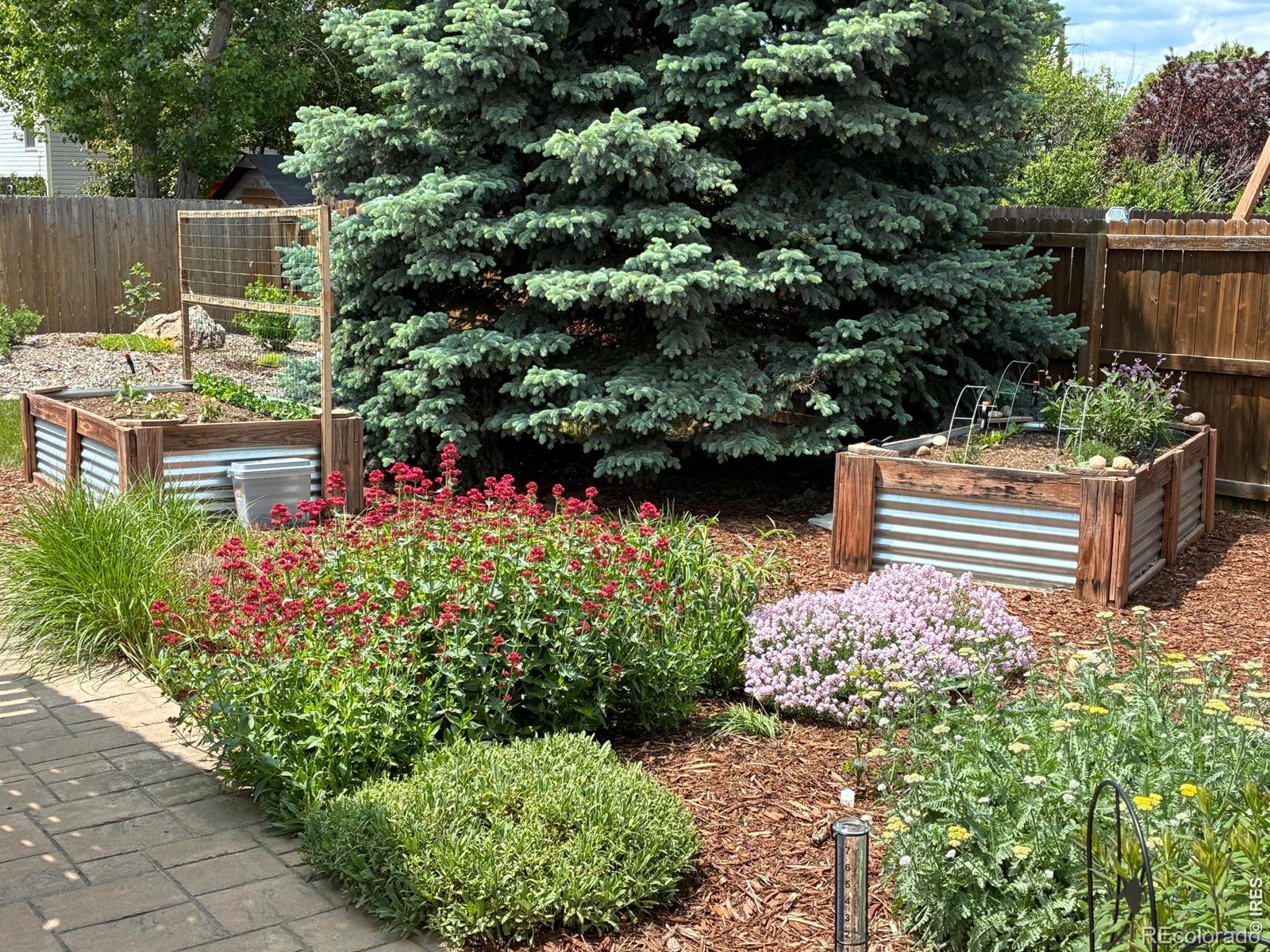 MLS Image #34 for 661  brewer drive,fort collins, Colorado