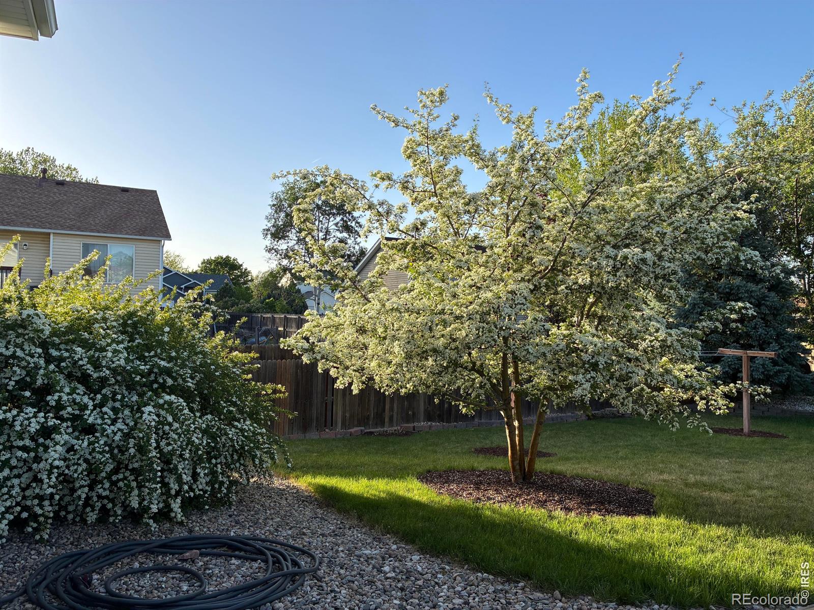 MLS Image #35 for 661  brewer drive,fort collins, Colorado