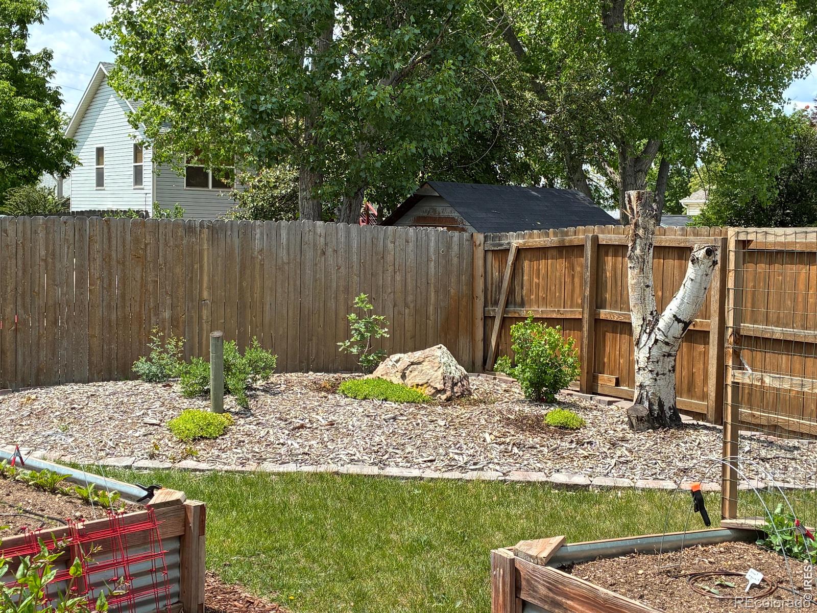 MLS Image #36 for 661  brewer drive,fort collins, Colorado