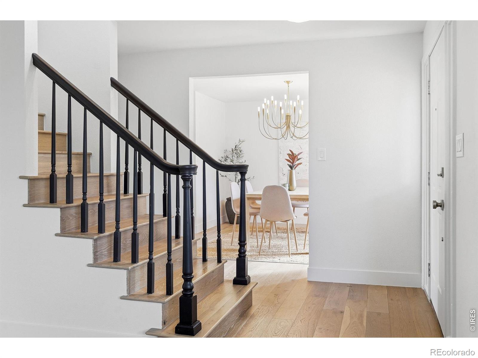 MLS Image #8 for 5580  colt drive,longmont, Colorado