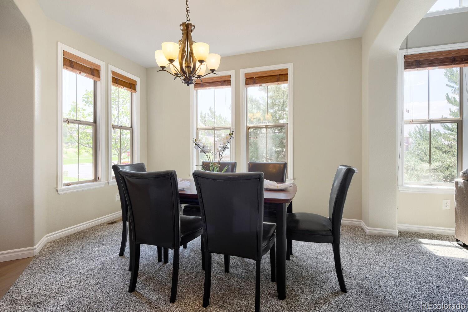 MLS Image #14 for 9421  viaggio way ,highlands ranch, Colorado