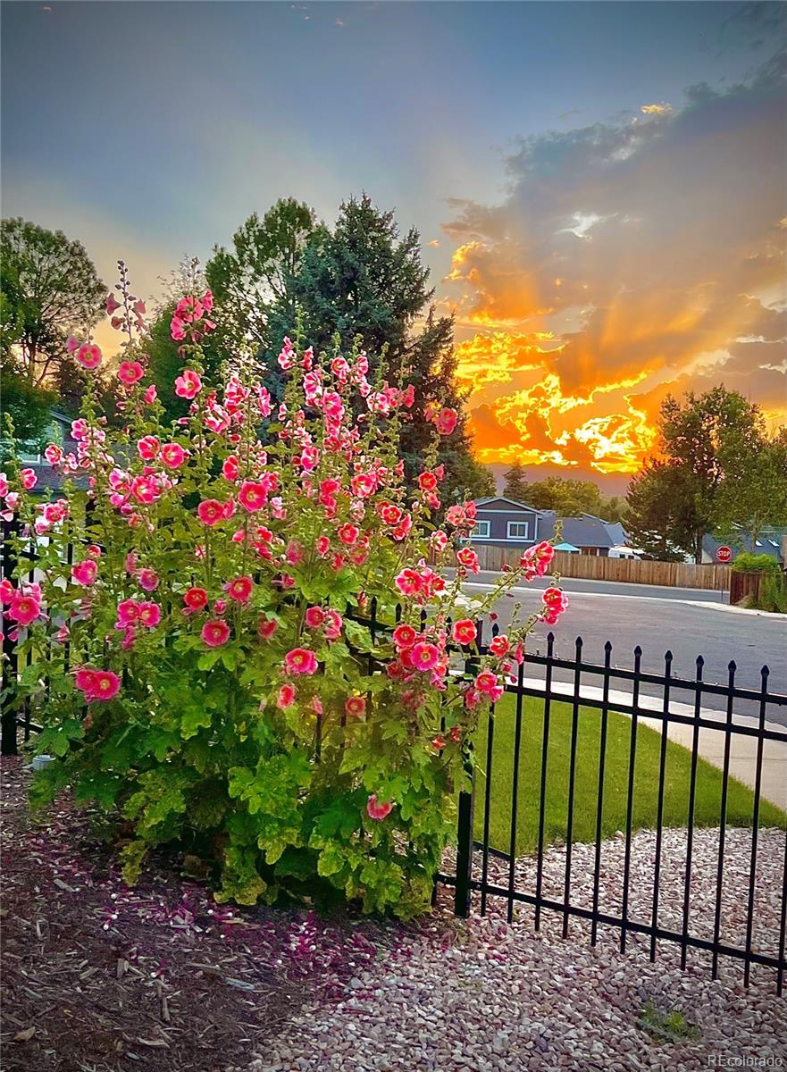 MLS Image #35 for 4368 w 111th avenue,westminster, Colorado
