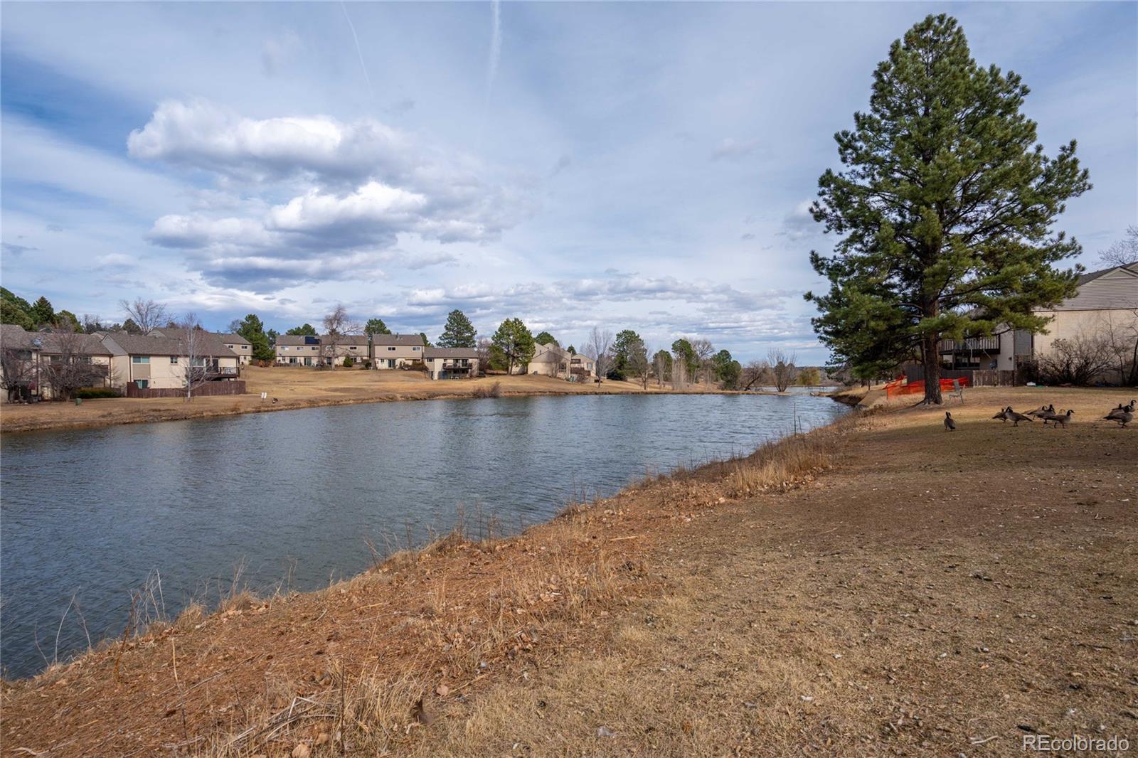 MLS Image #27 for 4617 w ponds circle,littleton, Colorado