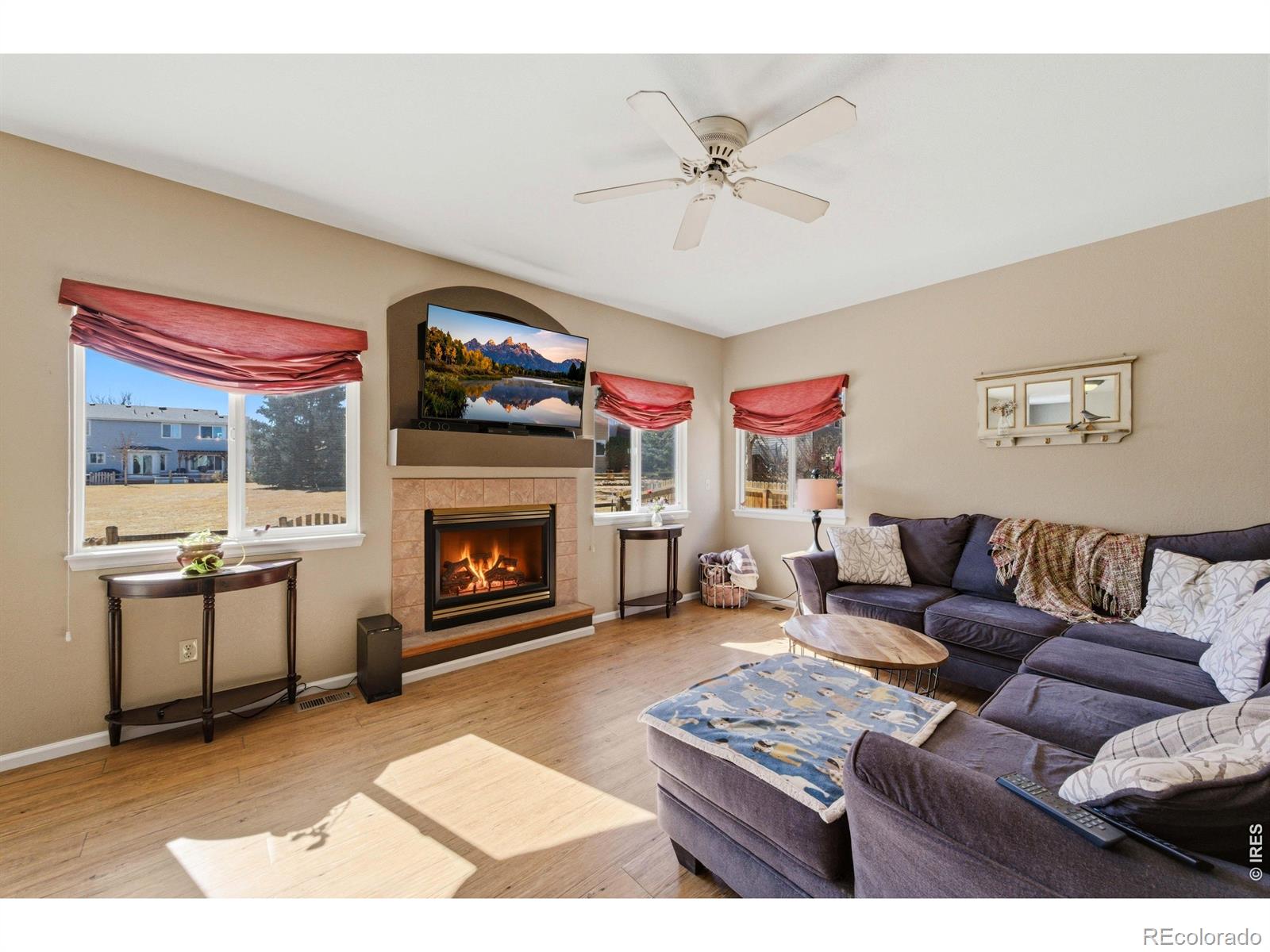 MLS Image #18 for 539  abbey drive,longmont, Colorado