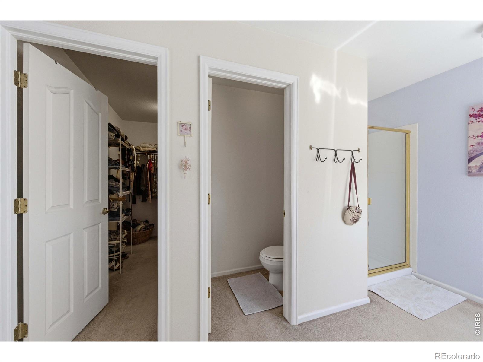 MLS Image #27 for 539  abbey drive,longmont, Colorado