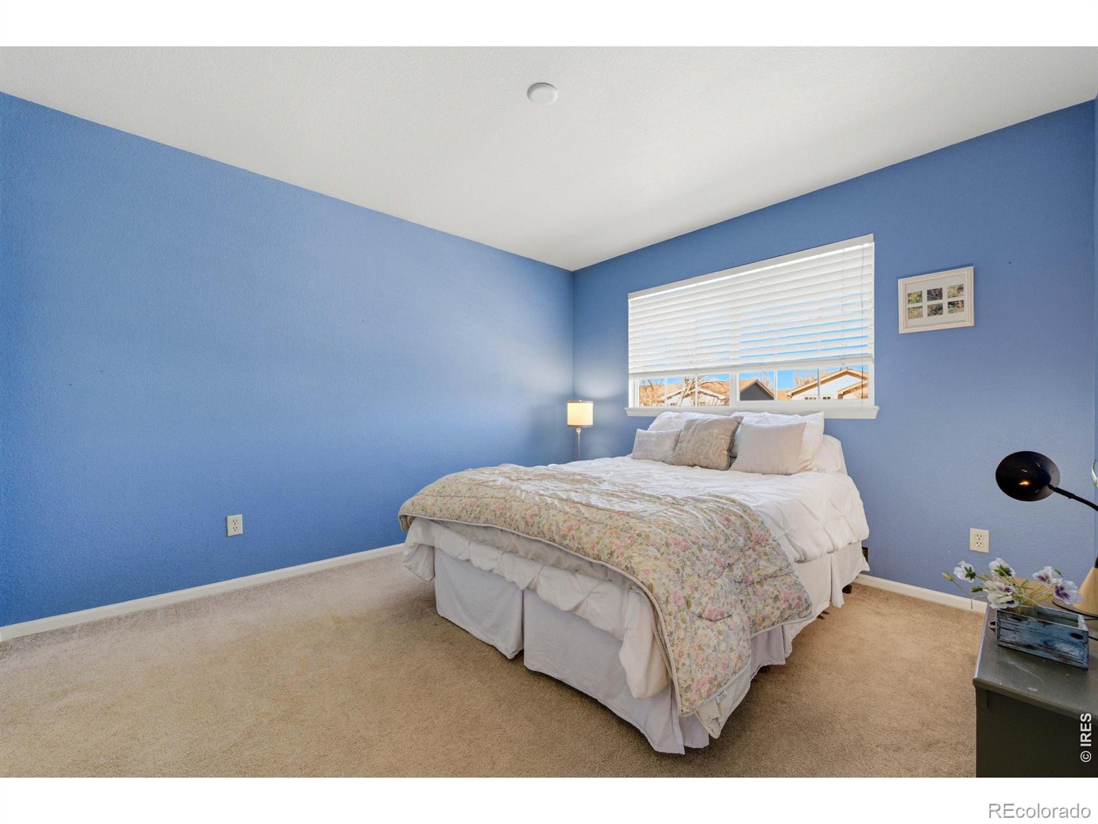 MLS Image #33 for 539  abbey drive,longmont, Colorado