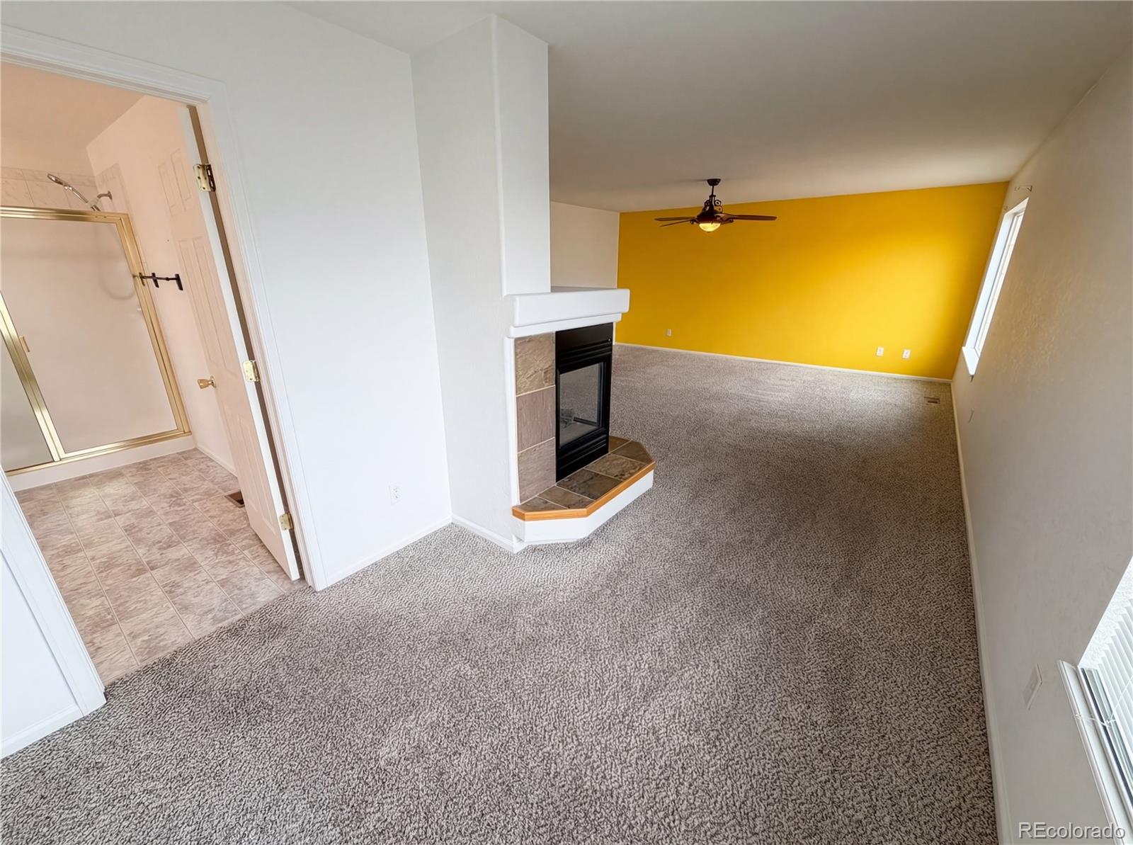 MLS Image #12 for 20000  mitchell place,denver, Colorado