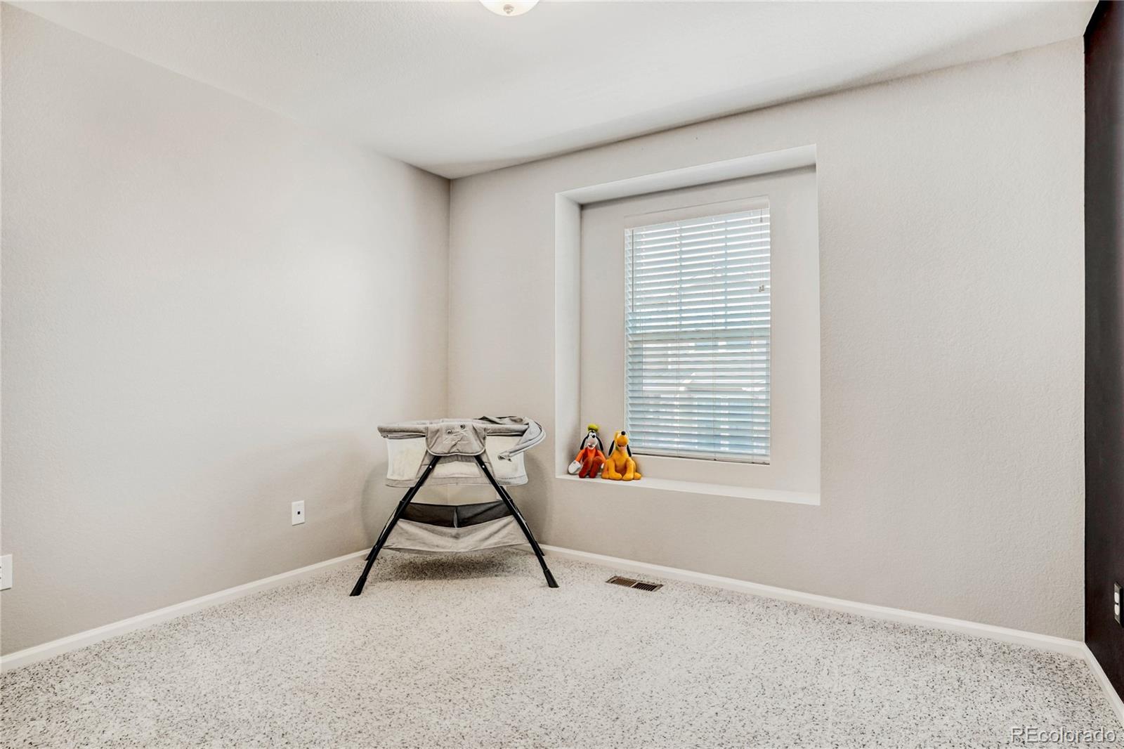 MLS Image #22 for 4378 s nepal court,centennial, Colorado