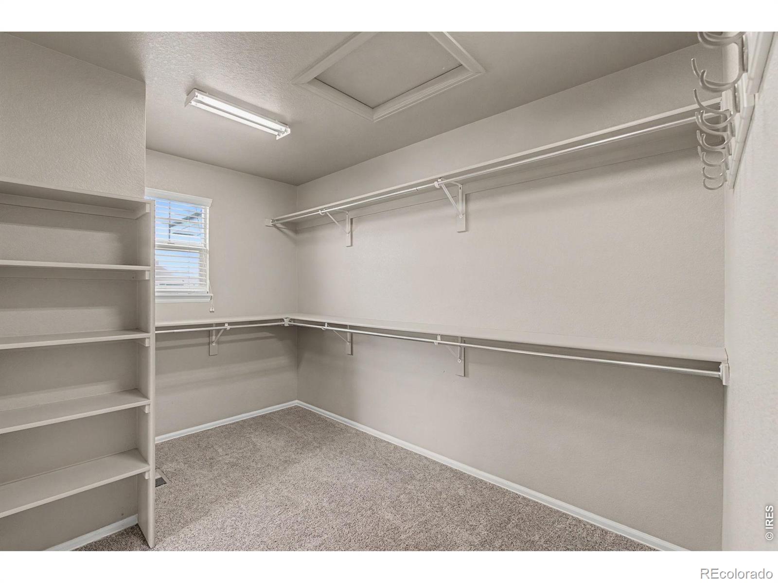 MLS Image #31 for 2145  longfin drive,windsor, Colorado