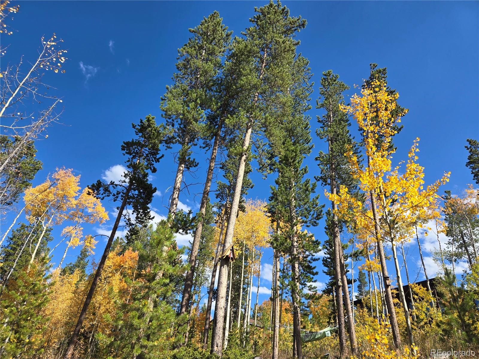 MLS Image #18 for 1279  american way,breckenridge, Colorado