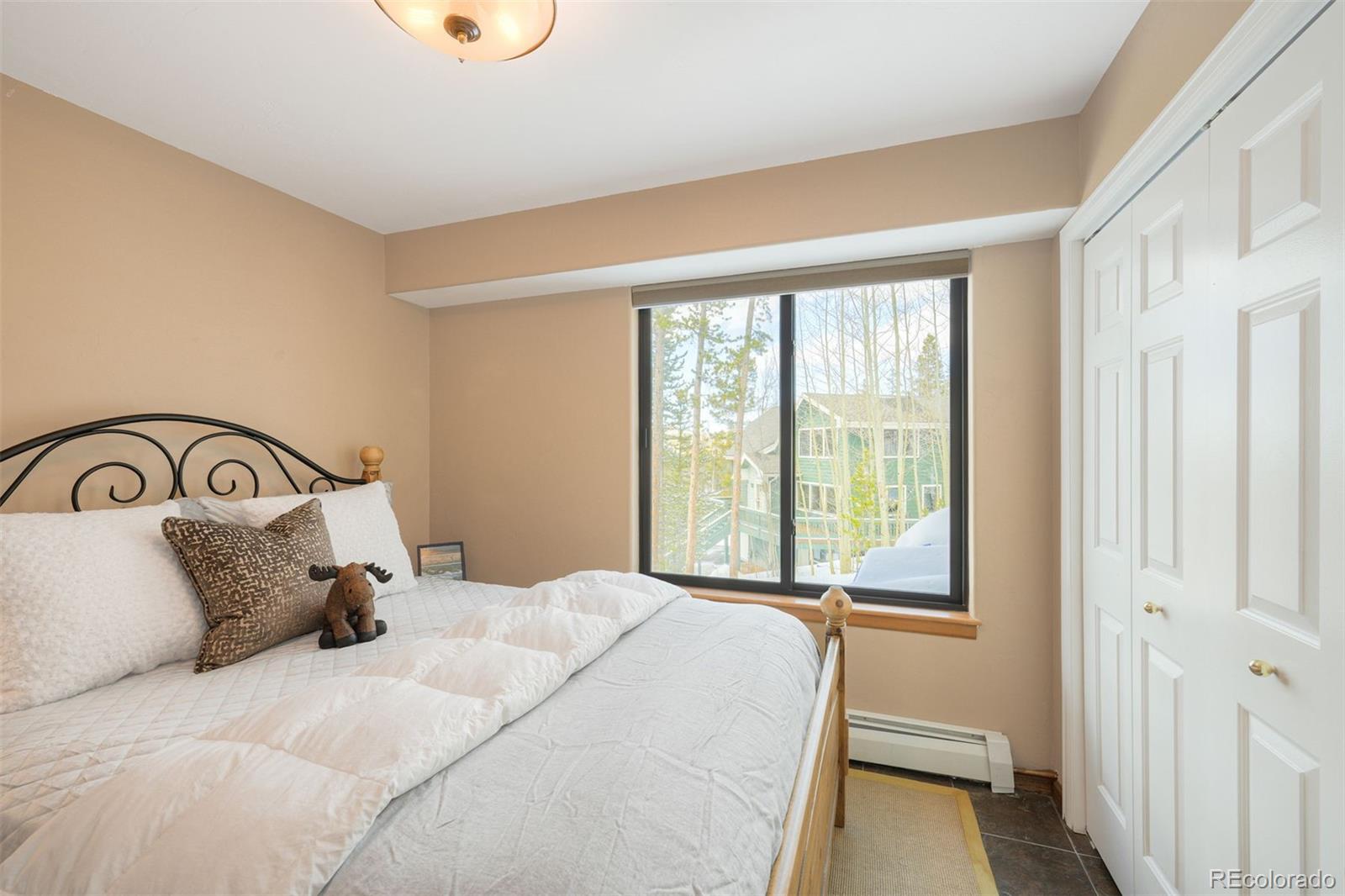 MLS Image #19 for 1279  american way,breckenridge, Colorado