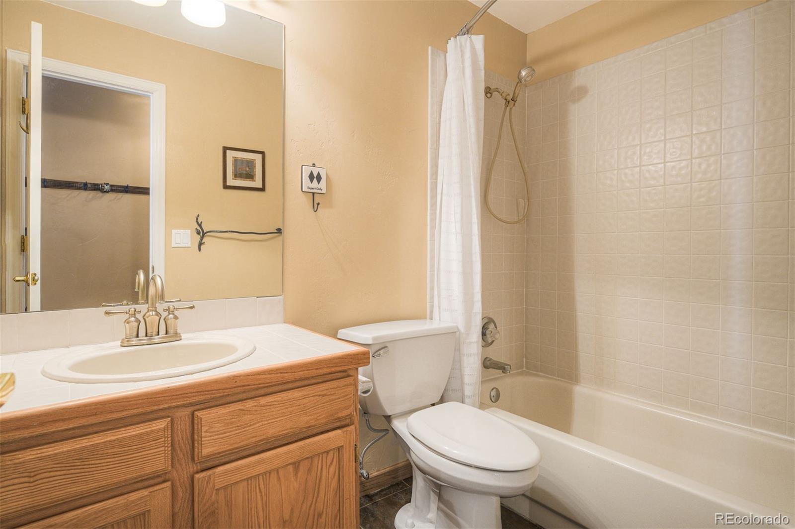 MLS Image #21 for 1279  american way,breckenridge, Colorado
