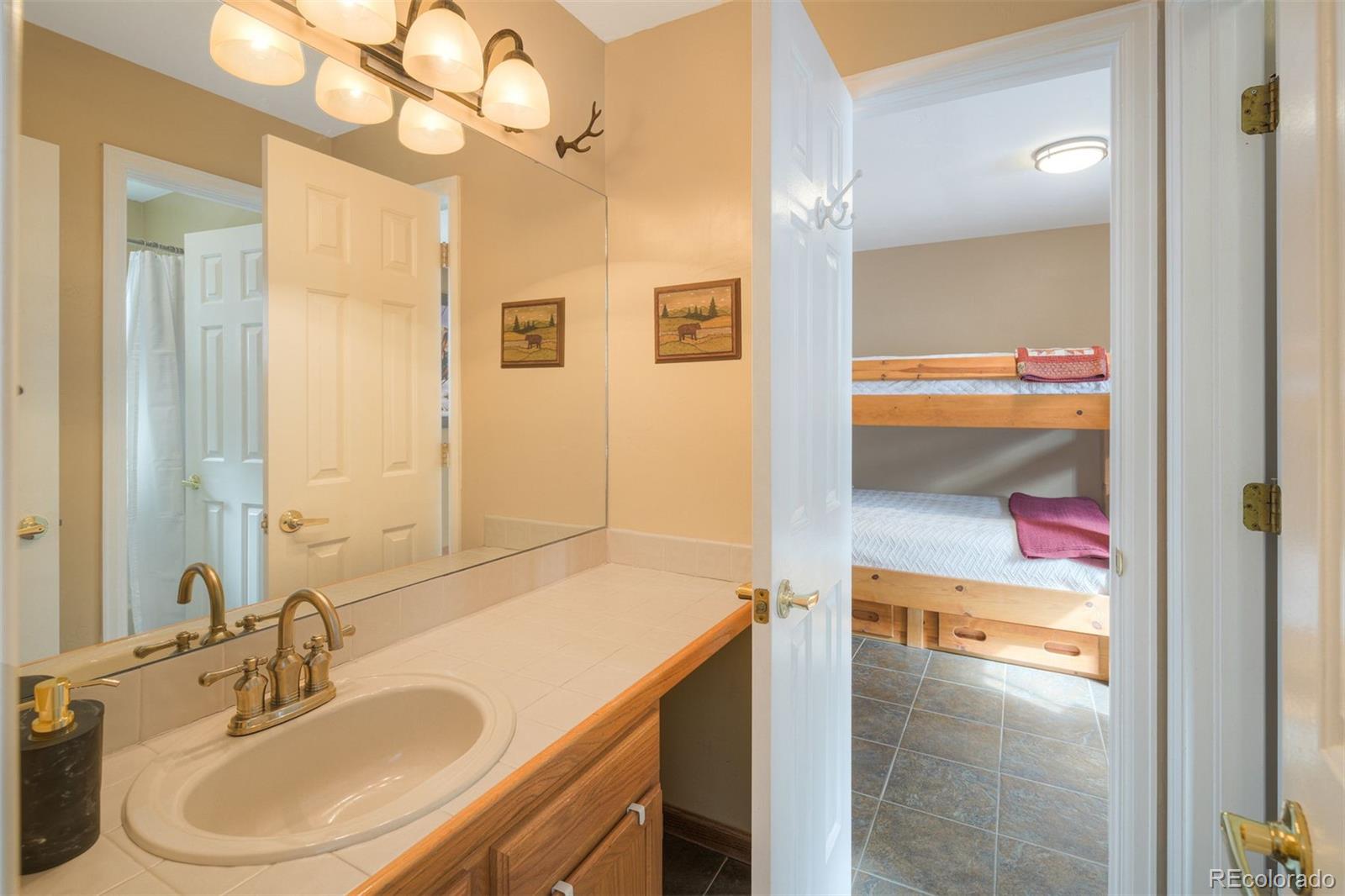 MLS Image #24 for 1279  american way,breckenridge, Colorado