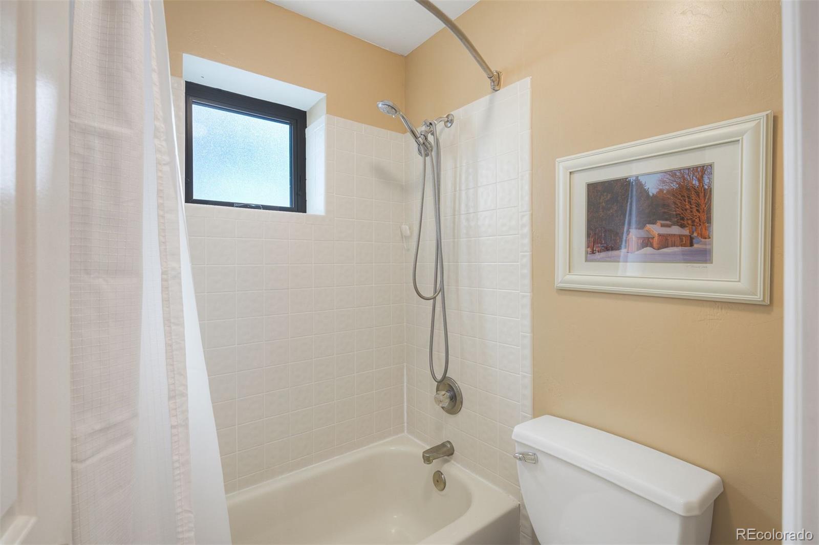 MLS Image #25 for 1279  american way,breckenridge, Colorado