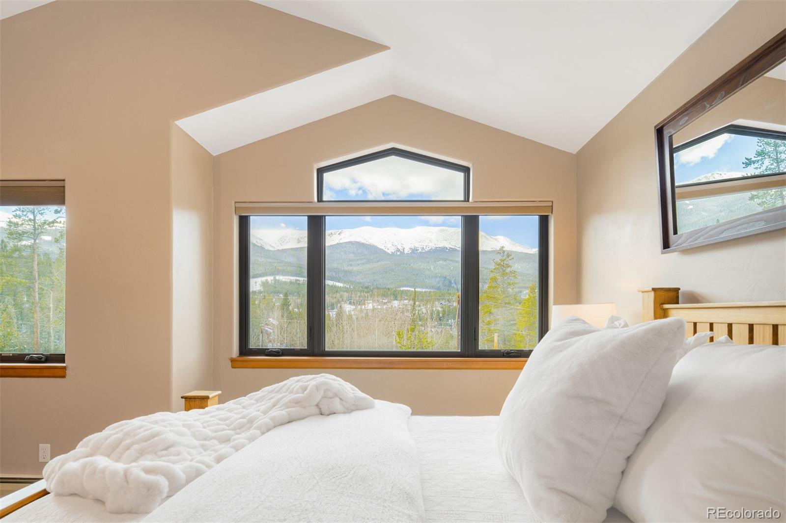 MLS Image #9 for 1279  american way,breckenridge, Colorado