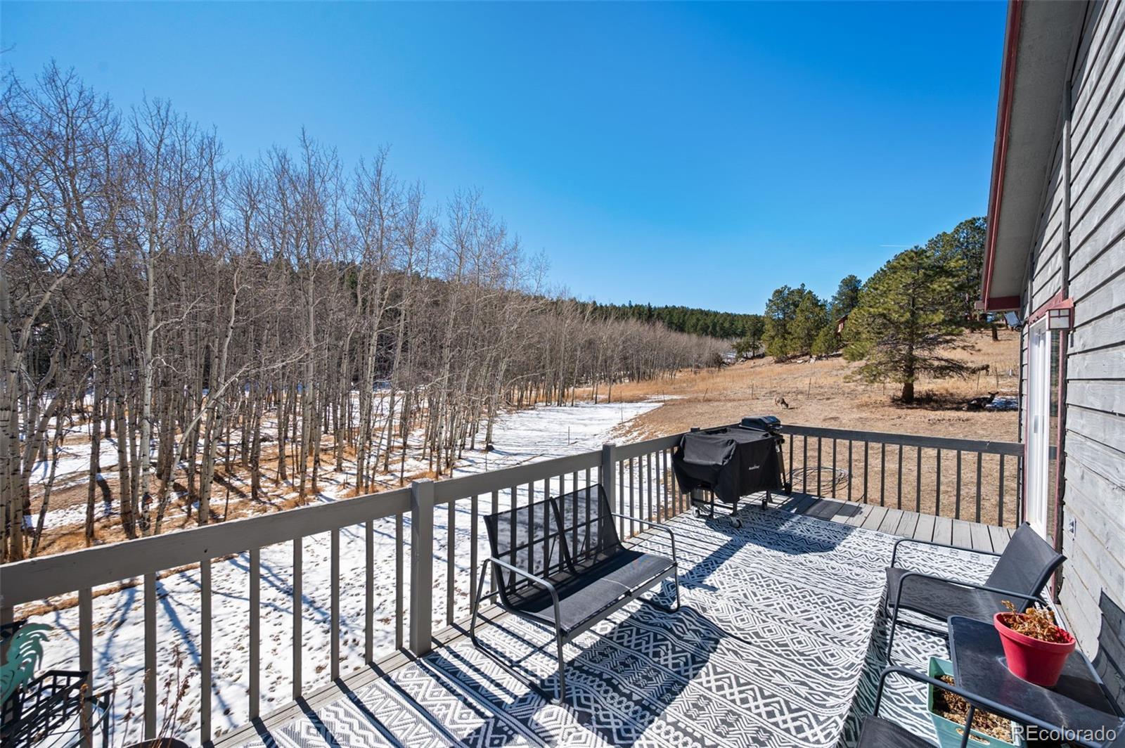 MLS Image #14 for 2222  county road 72 ,bailey, Colorado
