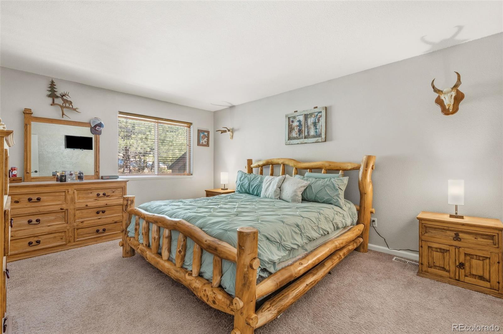 MLS Image #19 for 2222  county road 72 ,bailey, Colorado
