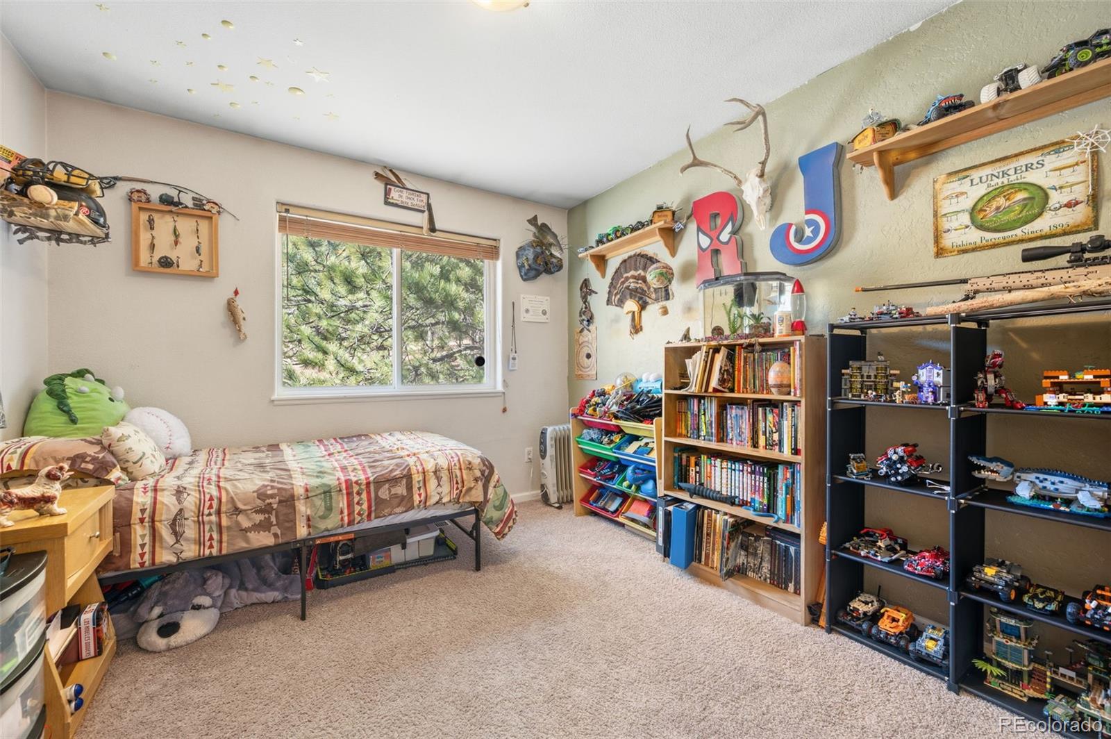 MLS Image #22 for 2222  county road 72 ,bailey, Colorado