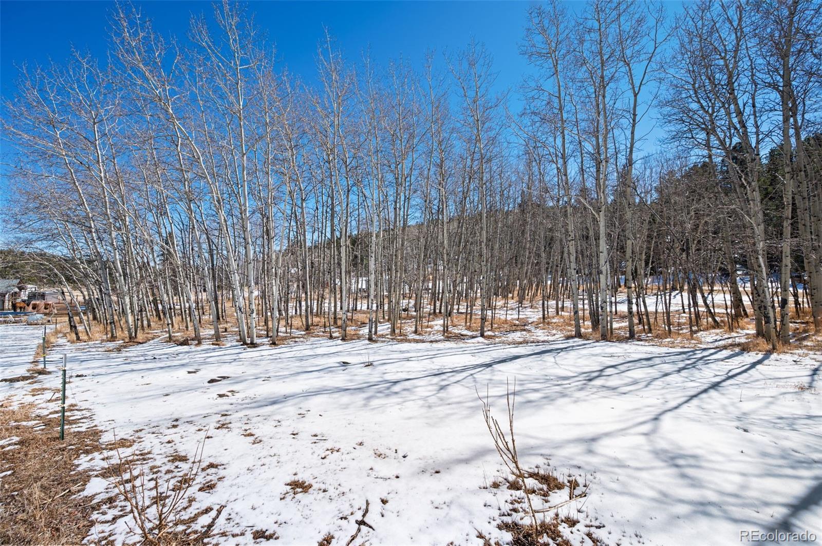 MLS Image #44 for 2222  county road 72 ,bailey, Colorado