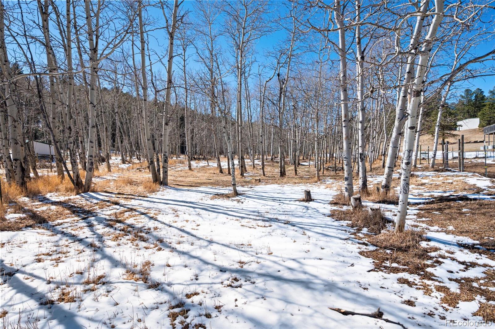 MLS Image #45 for 2222  county road 72 ,bailey, Colorado