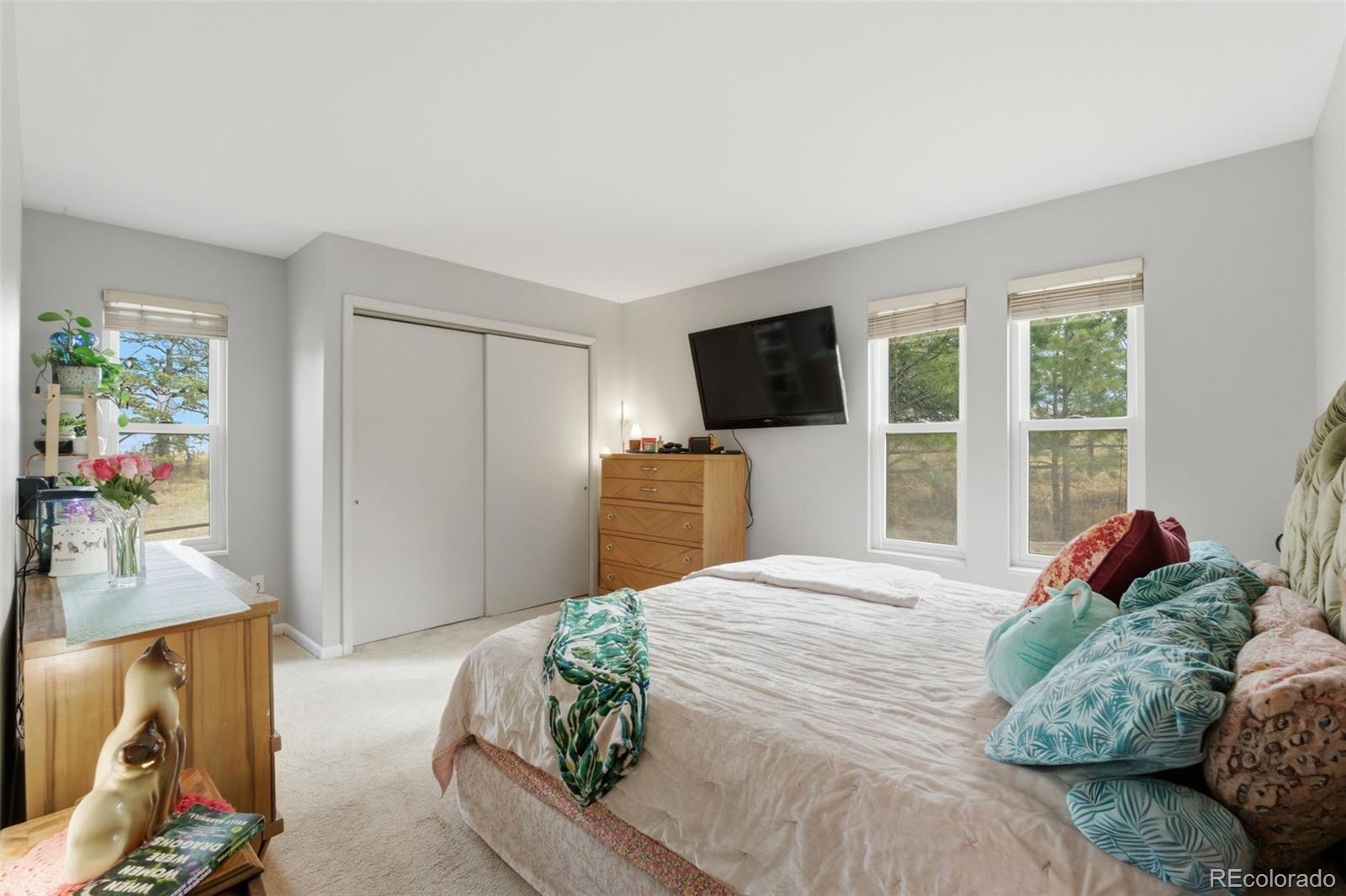 MLS Image #15 for 6848 n trailway circle,parker, Colorado