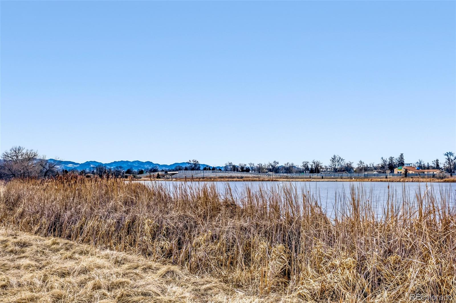 MLS Image #41 for 4440  lowell boulevard,denver, Colorado