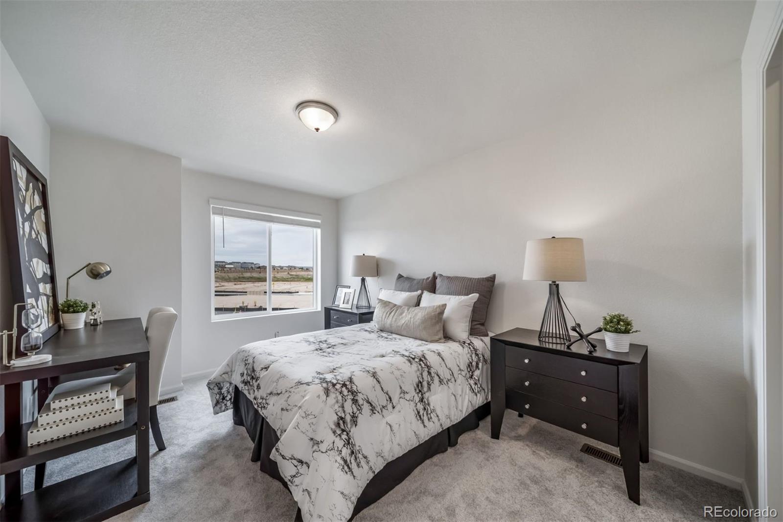 MLS Image #18 for 22343 e 46th avenue,aurora, Colorado