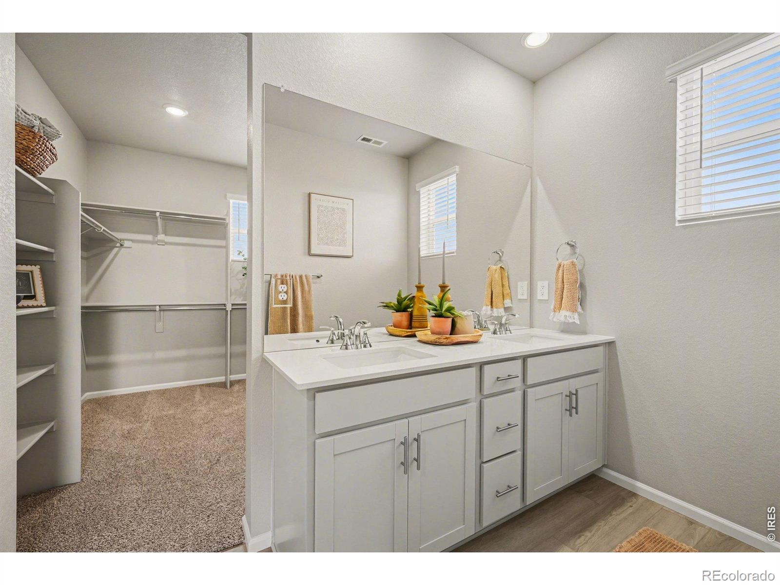 MLS Image #19 for 1604  colorado river drive,windsor, Colorado