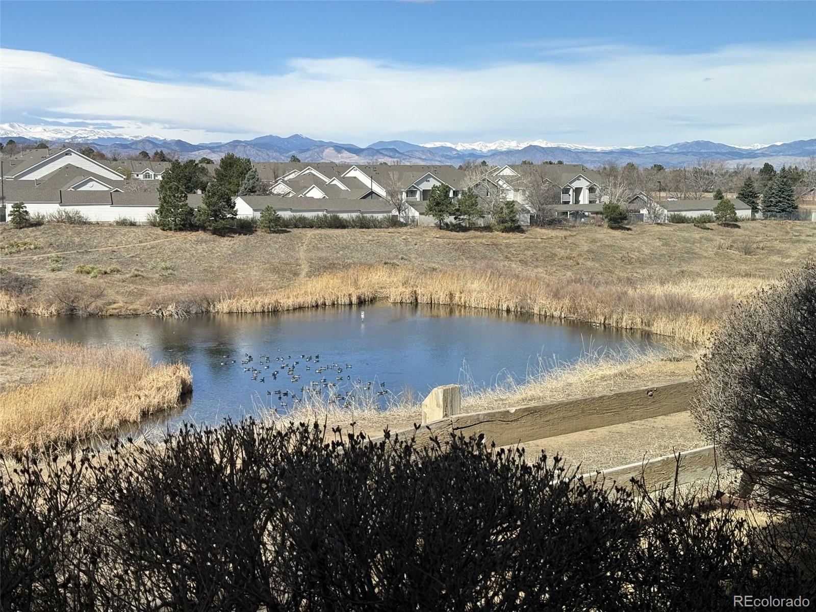 MLS Image #10 for 8389  pebble creek way,highlands ranch, Colorado
