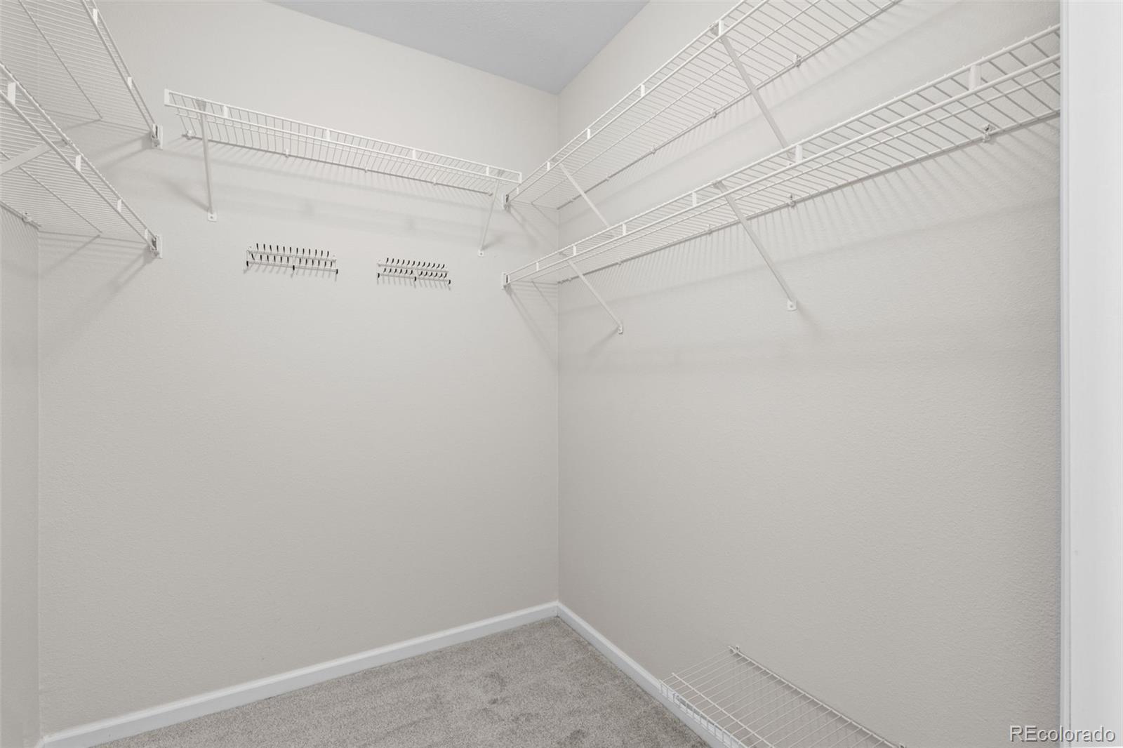 MLS Image #16 for 8389  pebble creek way,highlands ranch, Colorado