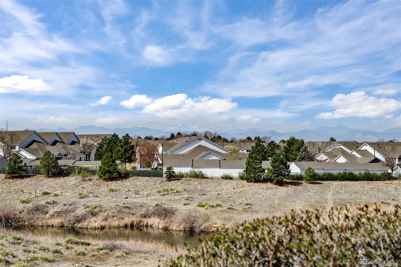MLS Image #20 for 8389  pebble creek way,highlands ranch, Colorado