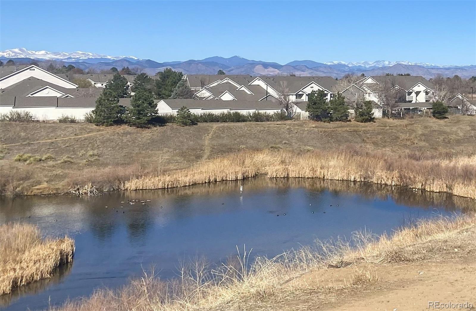 MLS Image #23 for 8389  pebble creek way,highlands ranch, Colorado