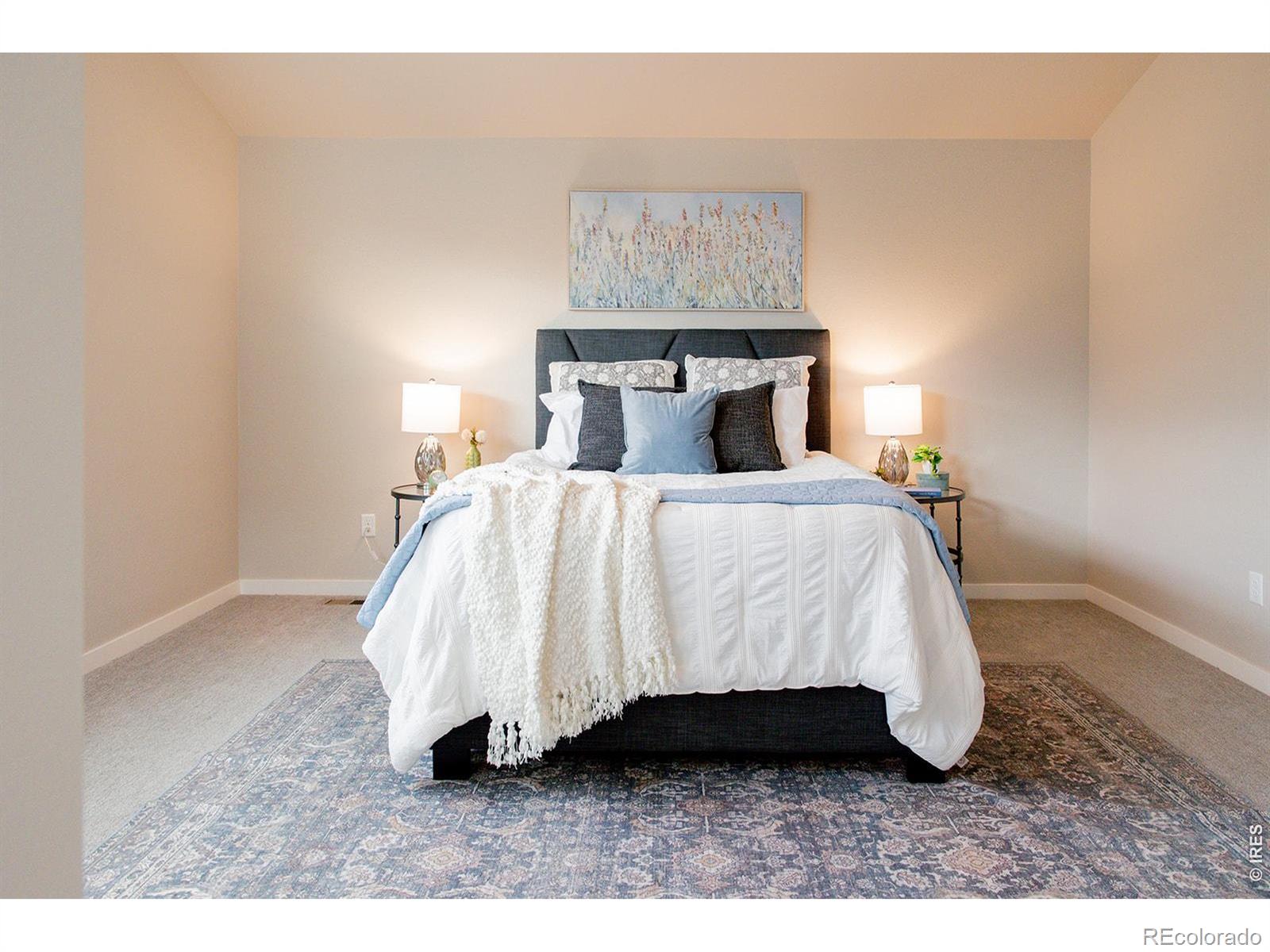 MLS Image #29 for 3044  comet street,fort collins, Colorado