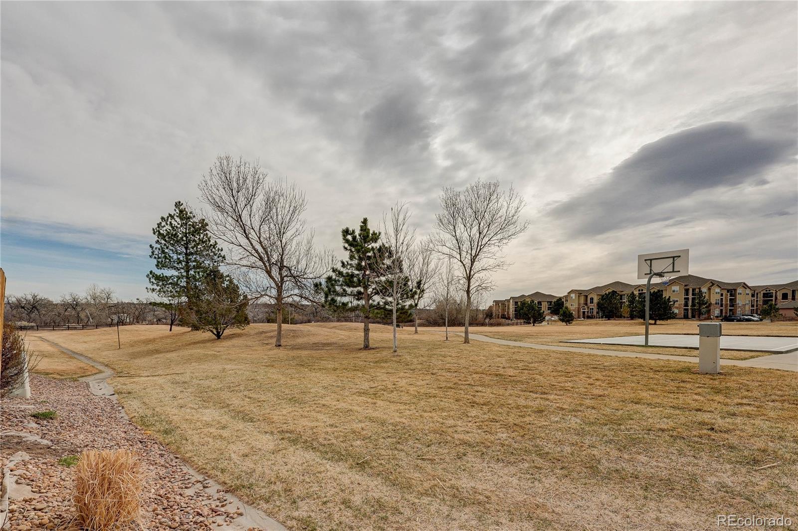 MLS Image #11 for 9063  apache plume drive,parker, Colorado