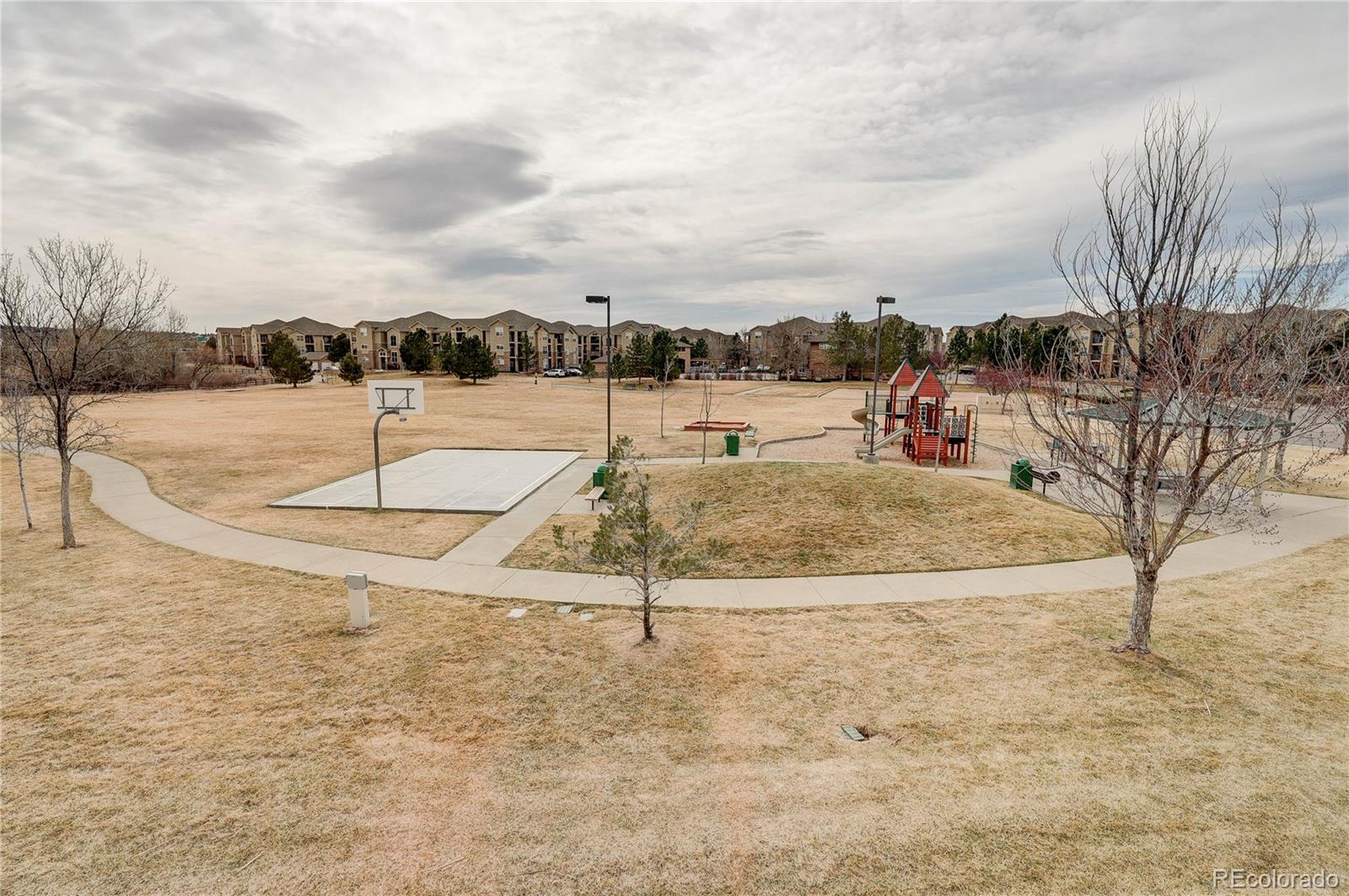 MLS Image #29 for 9063  apache plume drive,parker, Colorado