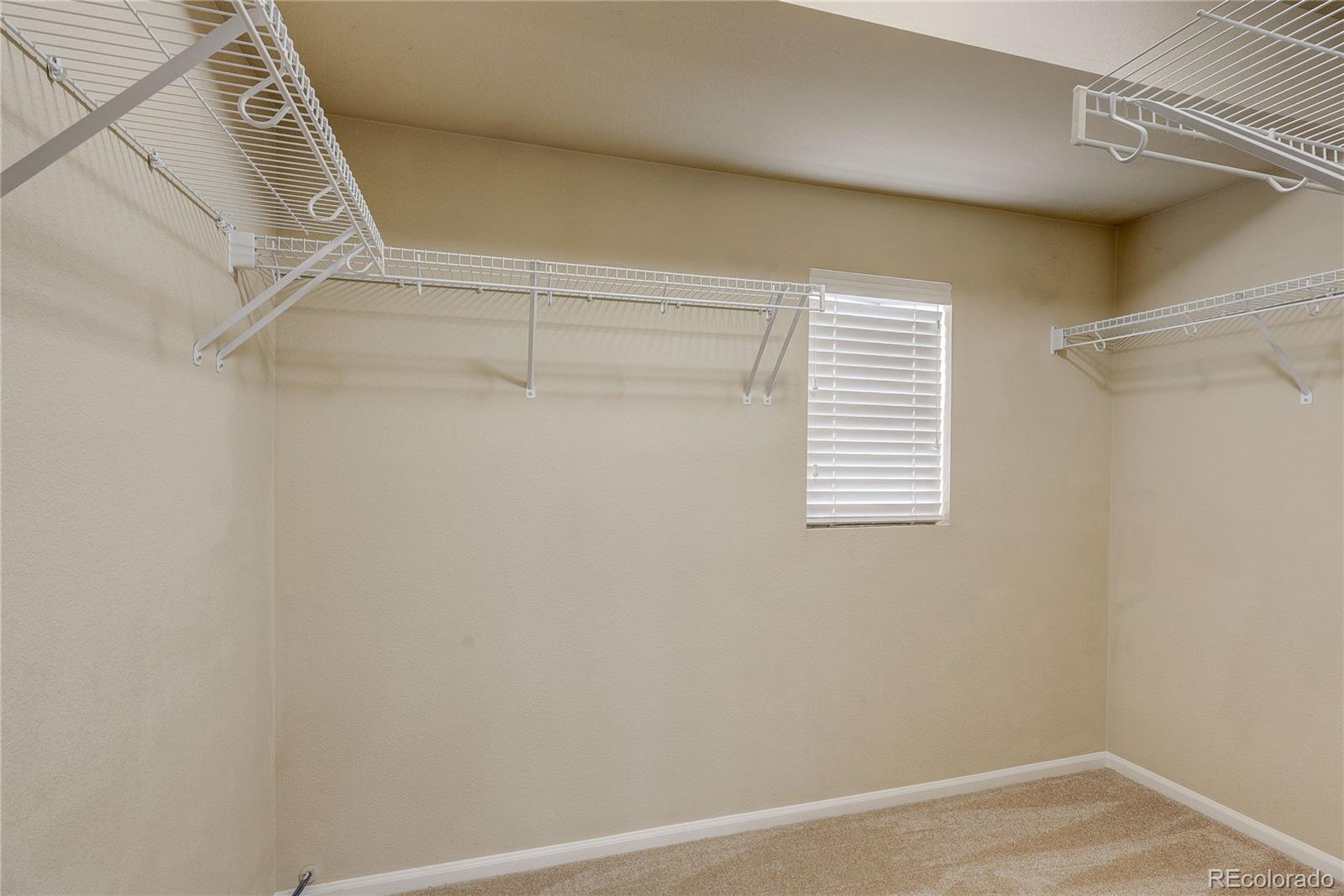 MLS Image #32 for 9063  apache plume drive,parker, Colorado