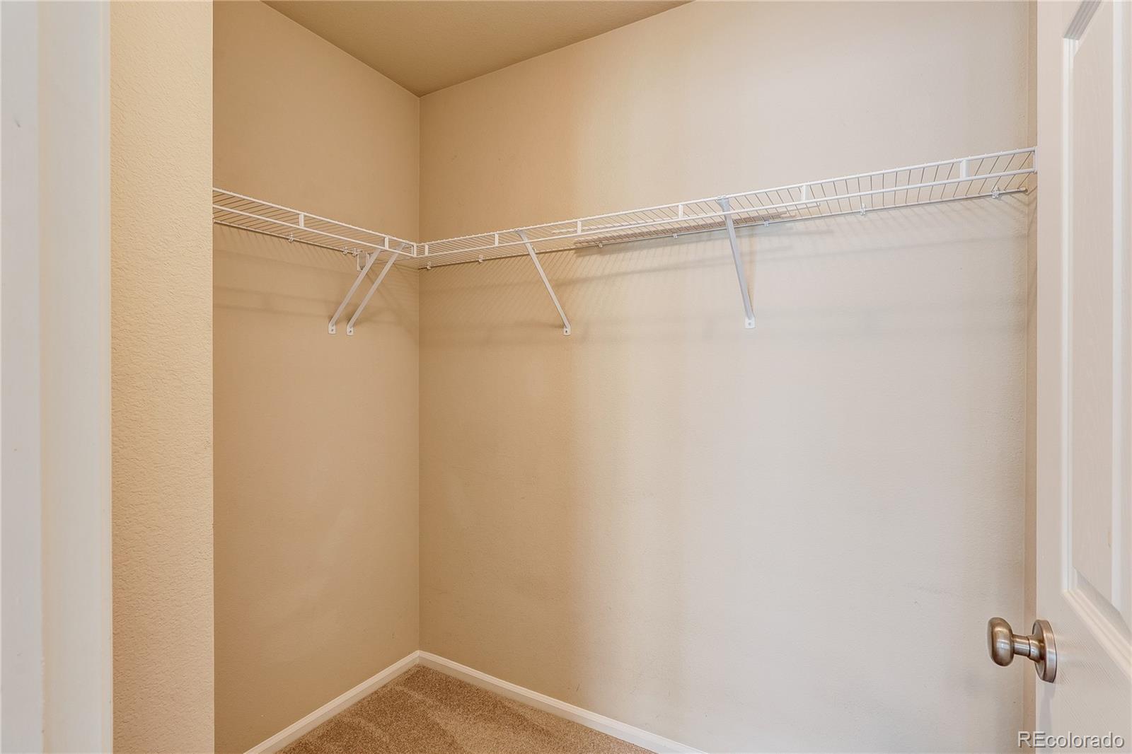MLS Image #38 for 9063  apache plume drive,parker, Colorado