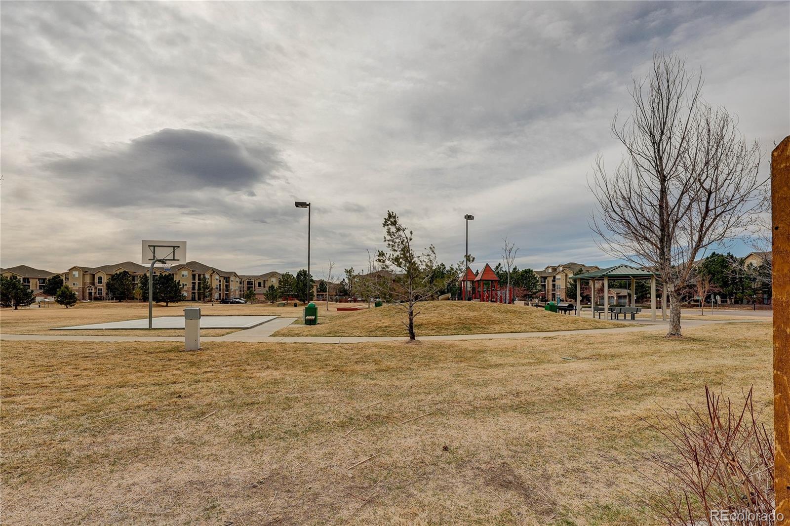 MLS Image #9 for 9063  apache plume drive,parker, Colorado