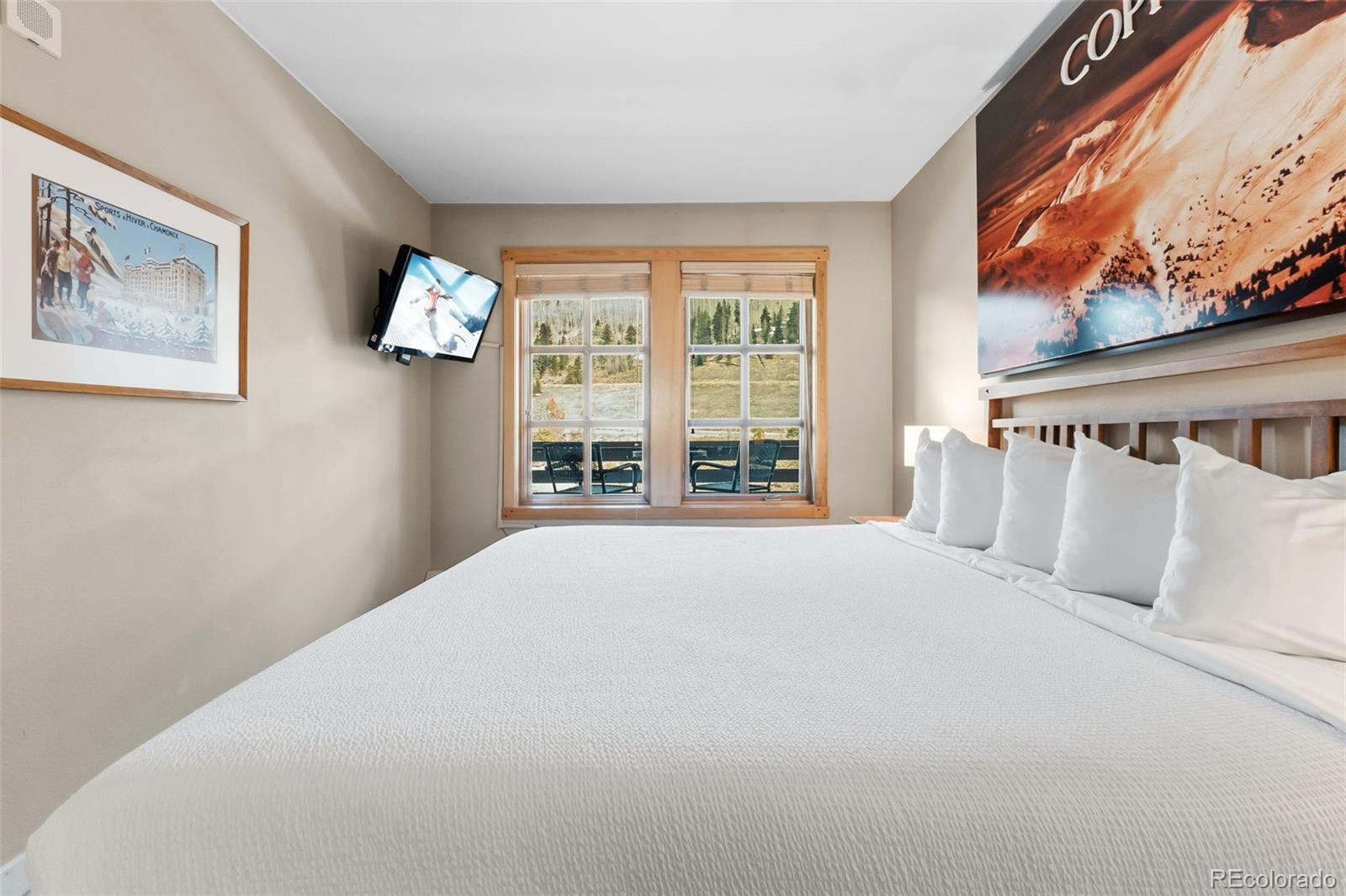 MLS Image #15 for 910  copper road,frisco, Colorado