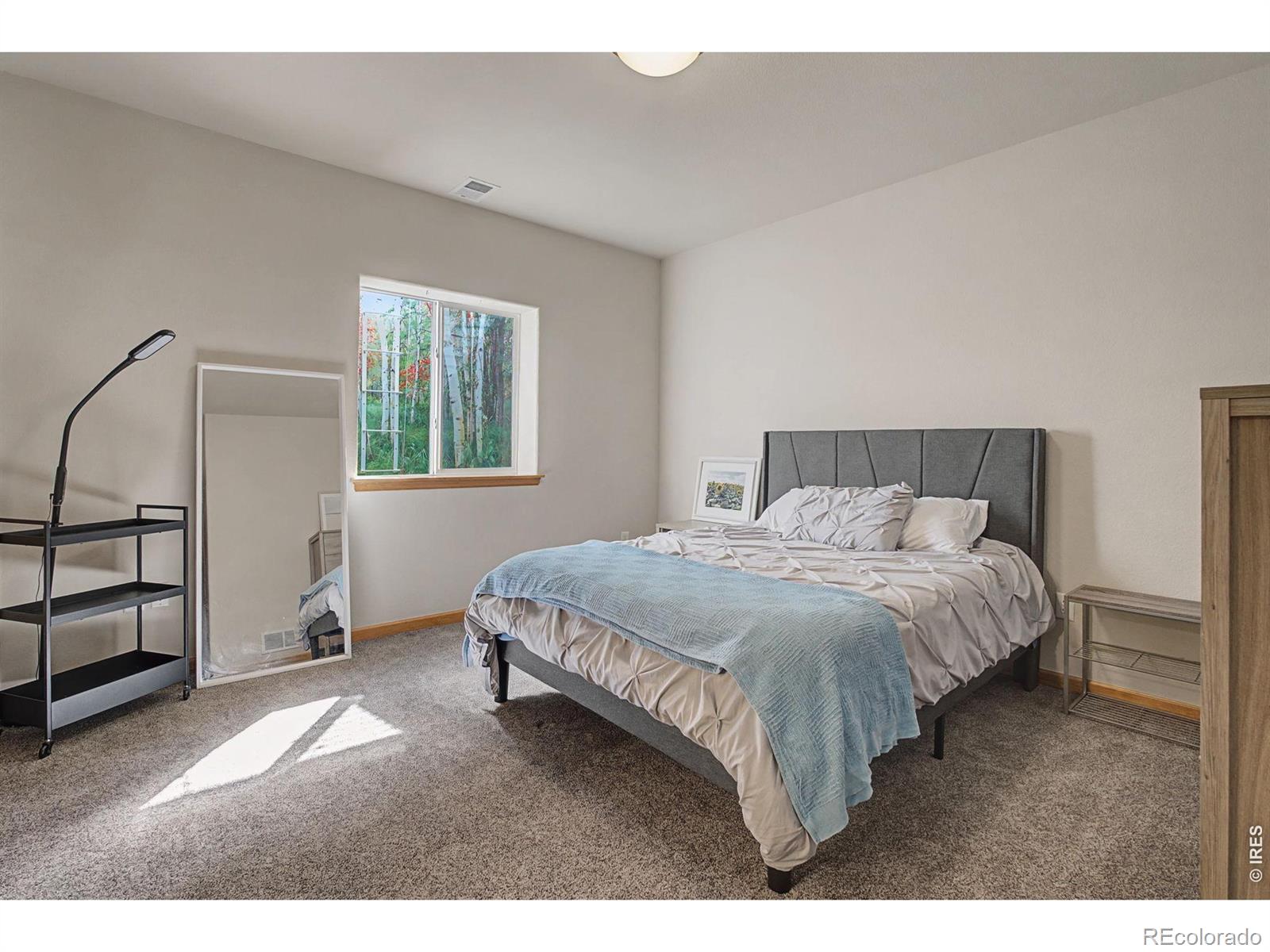 MLS Image #30 for 3339  ledgestone court,fort collins, Colorado