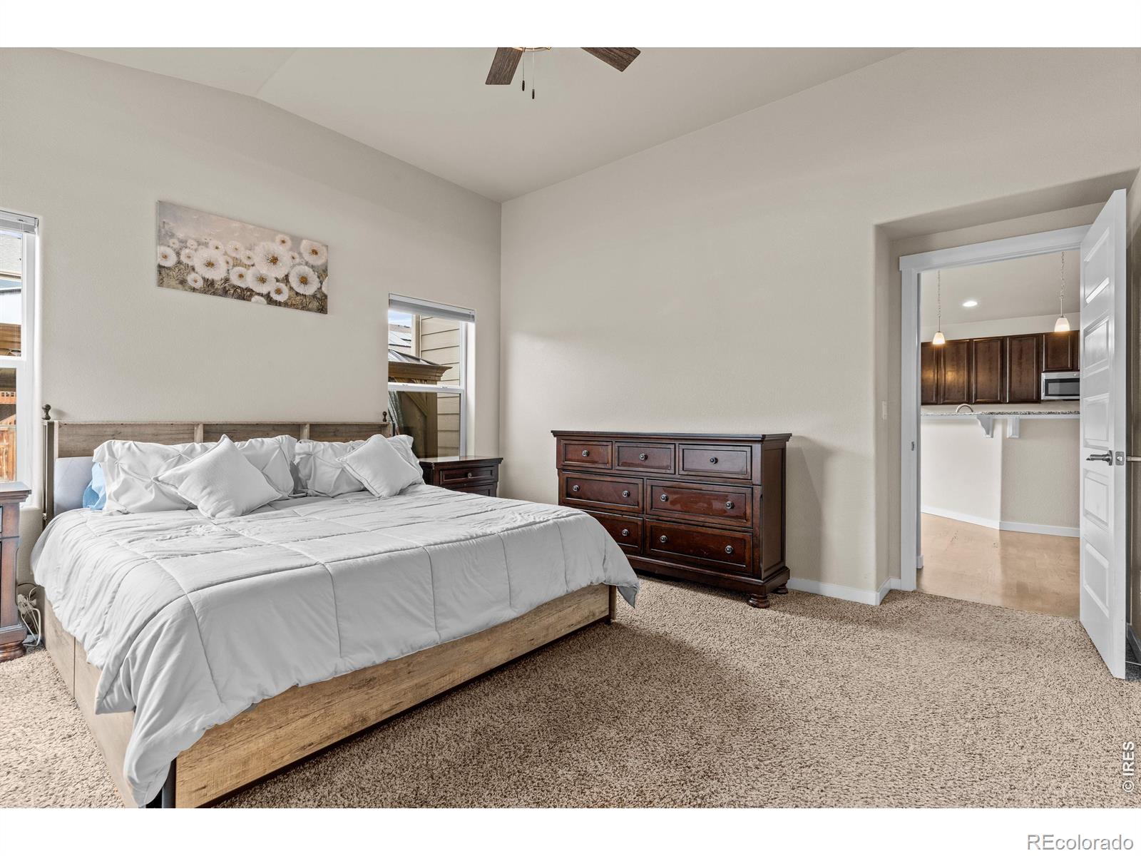 MLS Image #17 for 1590  monterey valley parkway,severance, Colorado