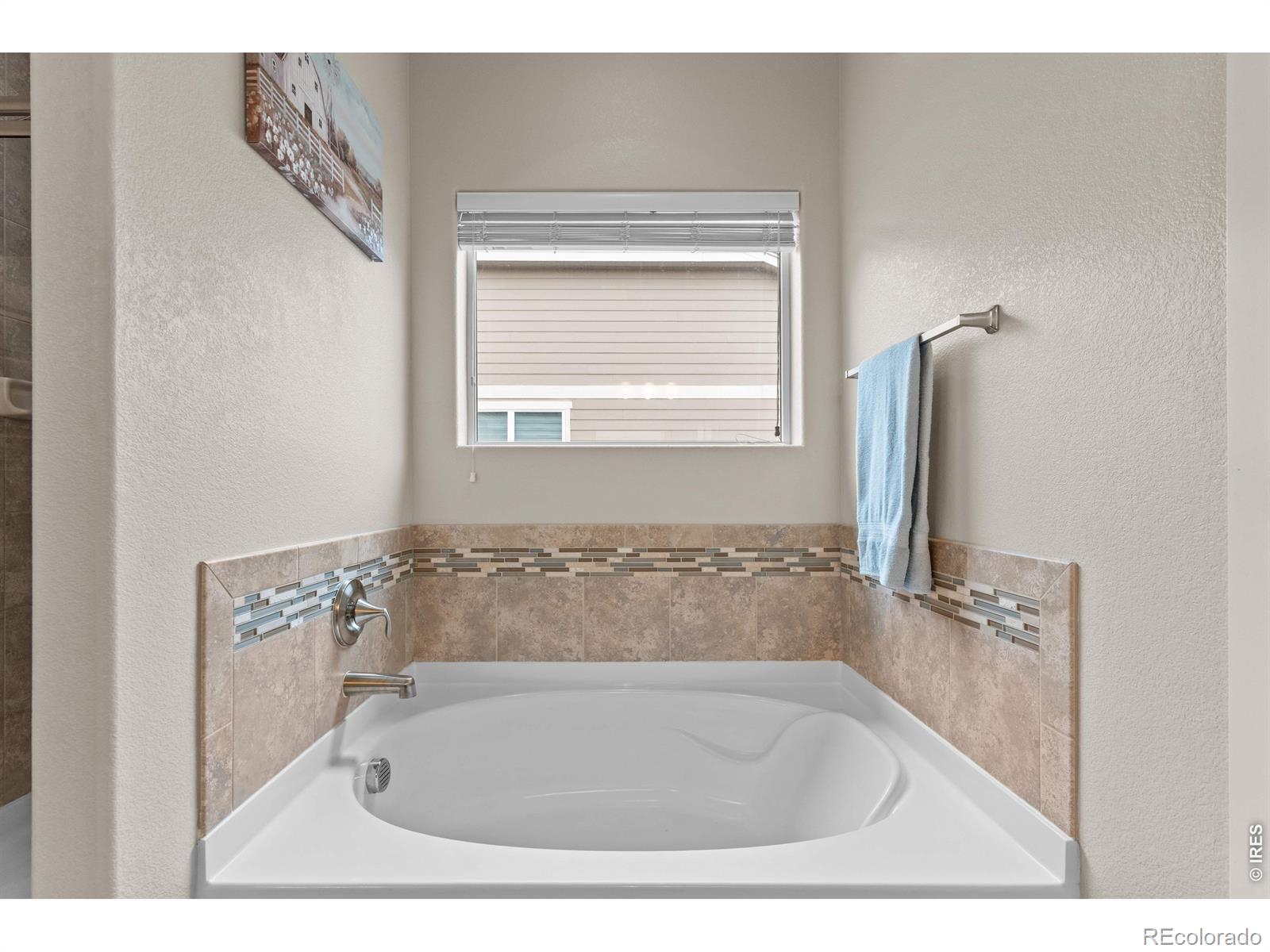 MLS Image #20 for 1590  monterey valley parkway,severance, Colorado