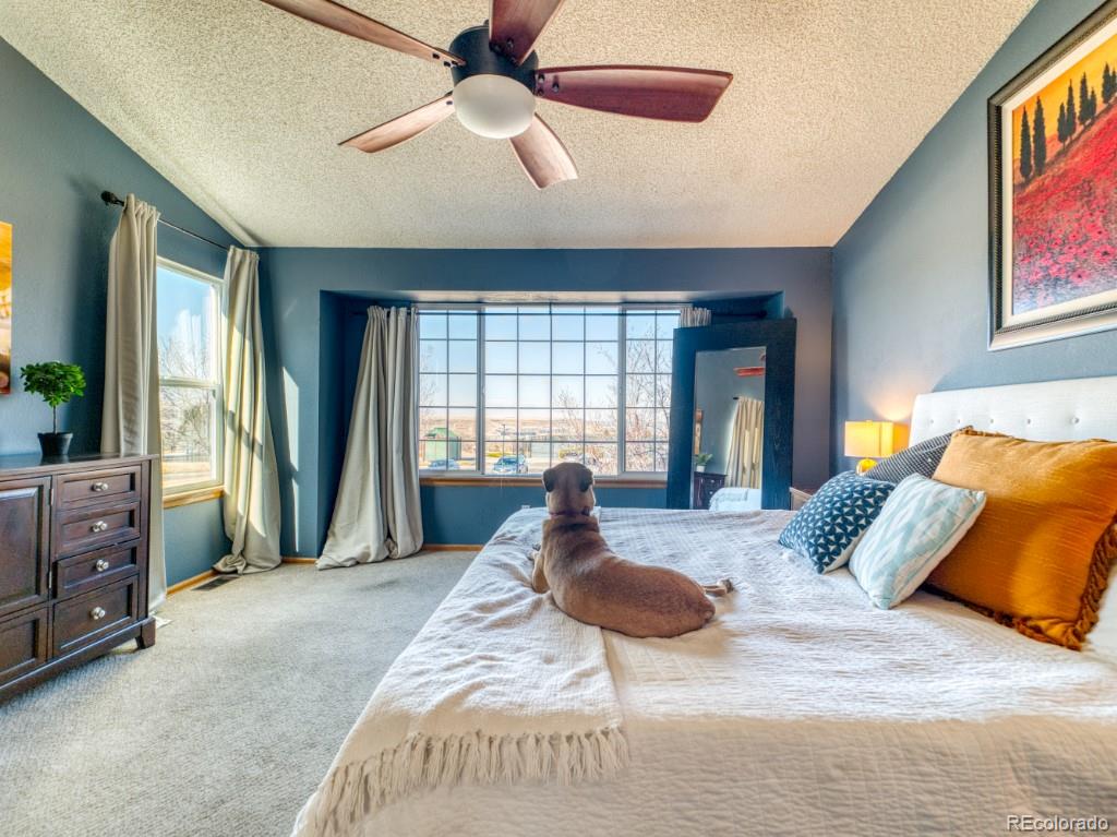 MLS Image #21 for 16158 w ellsworth drive,golden, Colorado