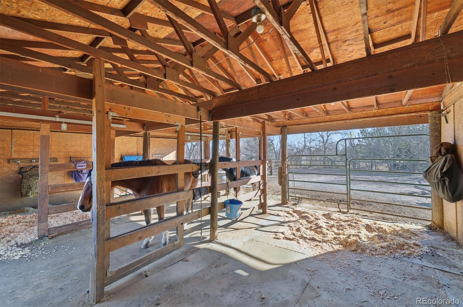 MLS Image #36 for 16380  mt vernon road,golden, Colorado